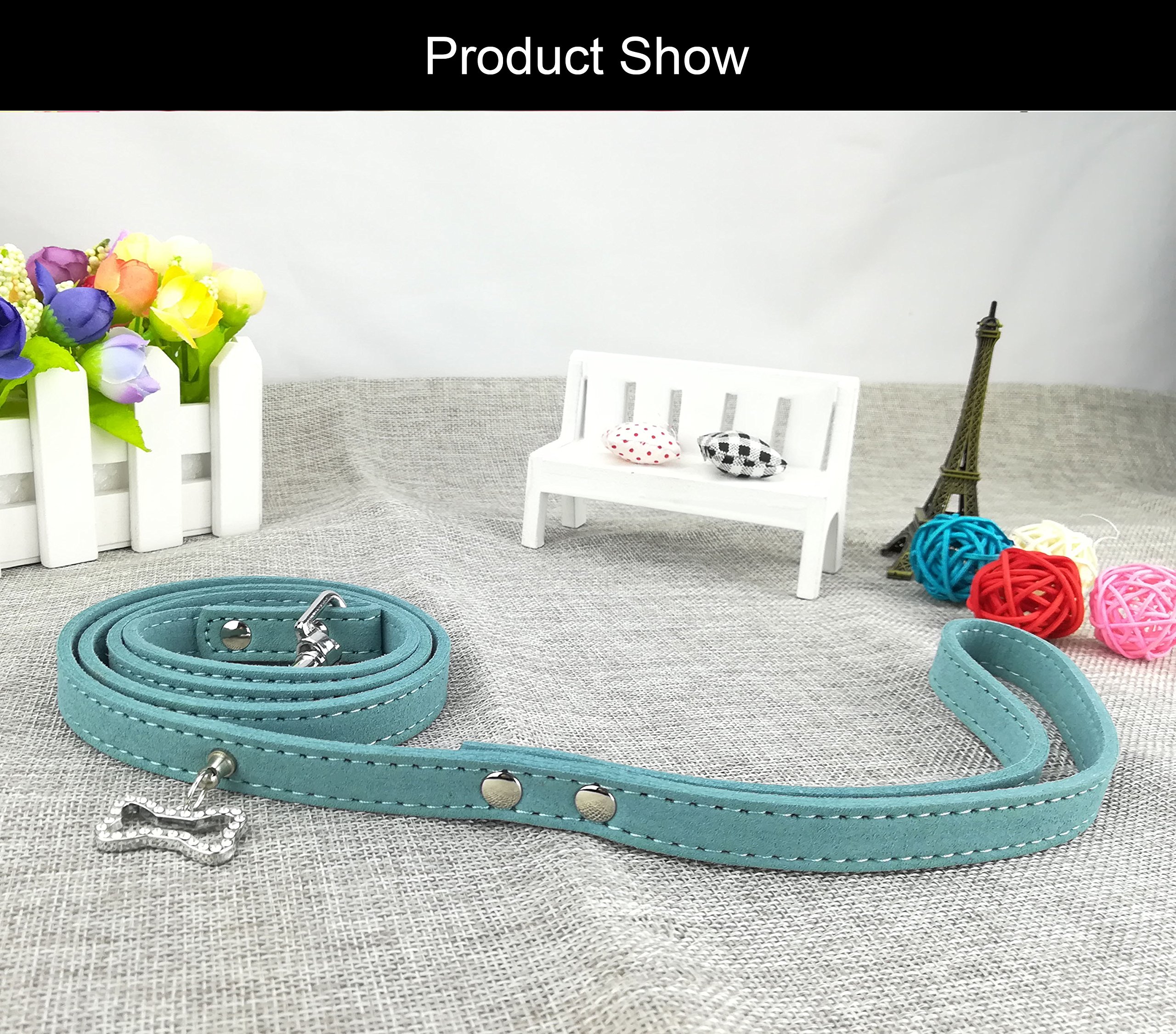 Newtensina Hundehalsband & Leine Set - Weiches Nieten-Design Mit Wildlederleine Für Kleine Hunde
