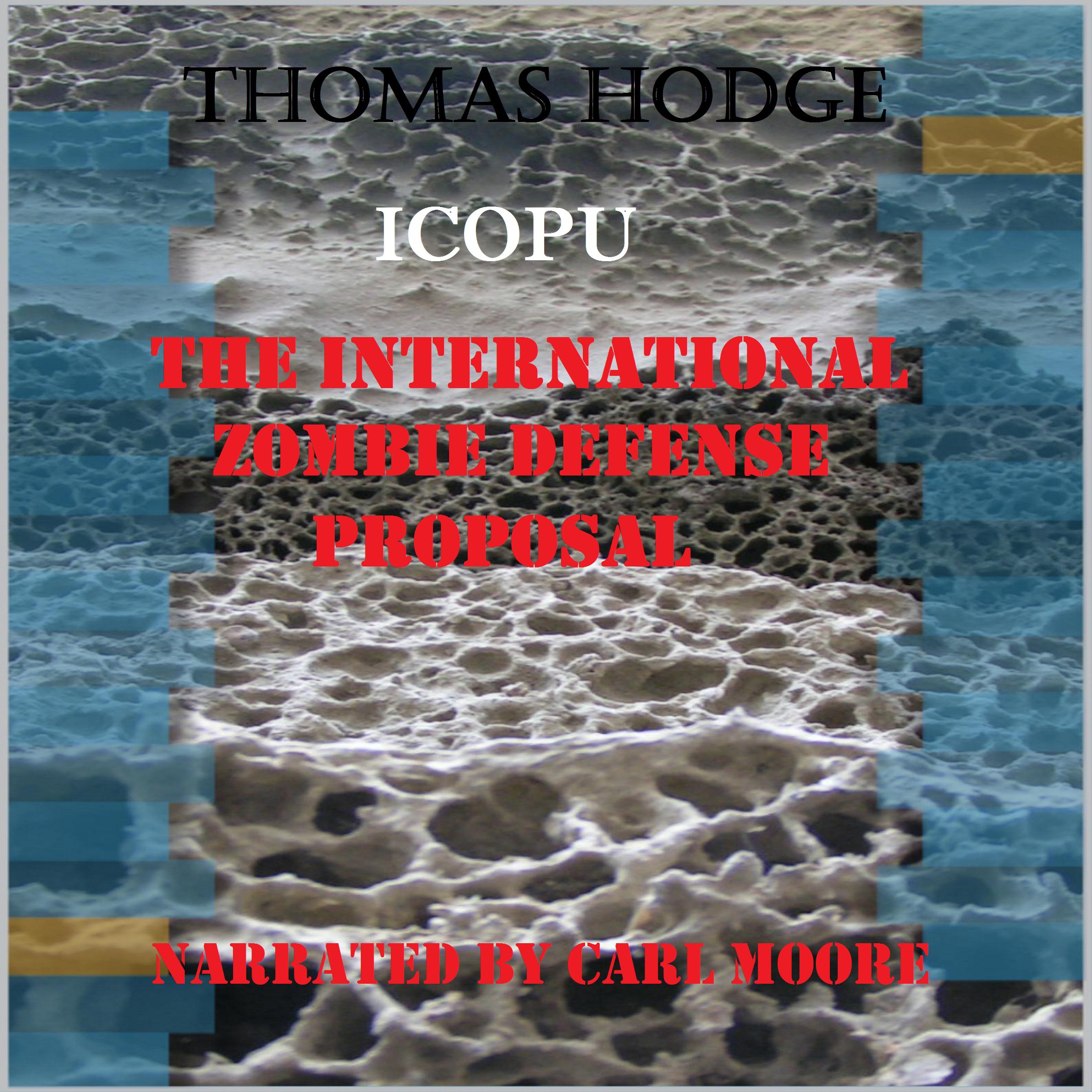 Cover art for The International Zombie Defense Proposal
