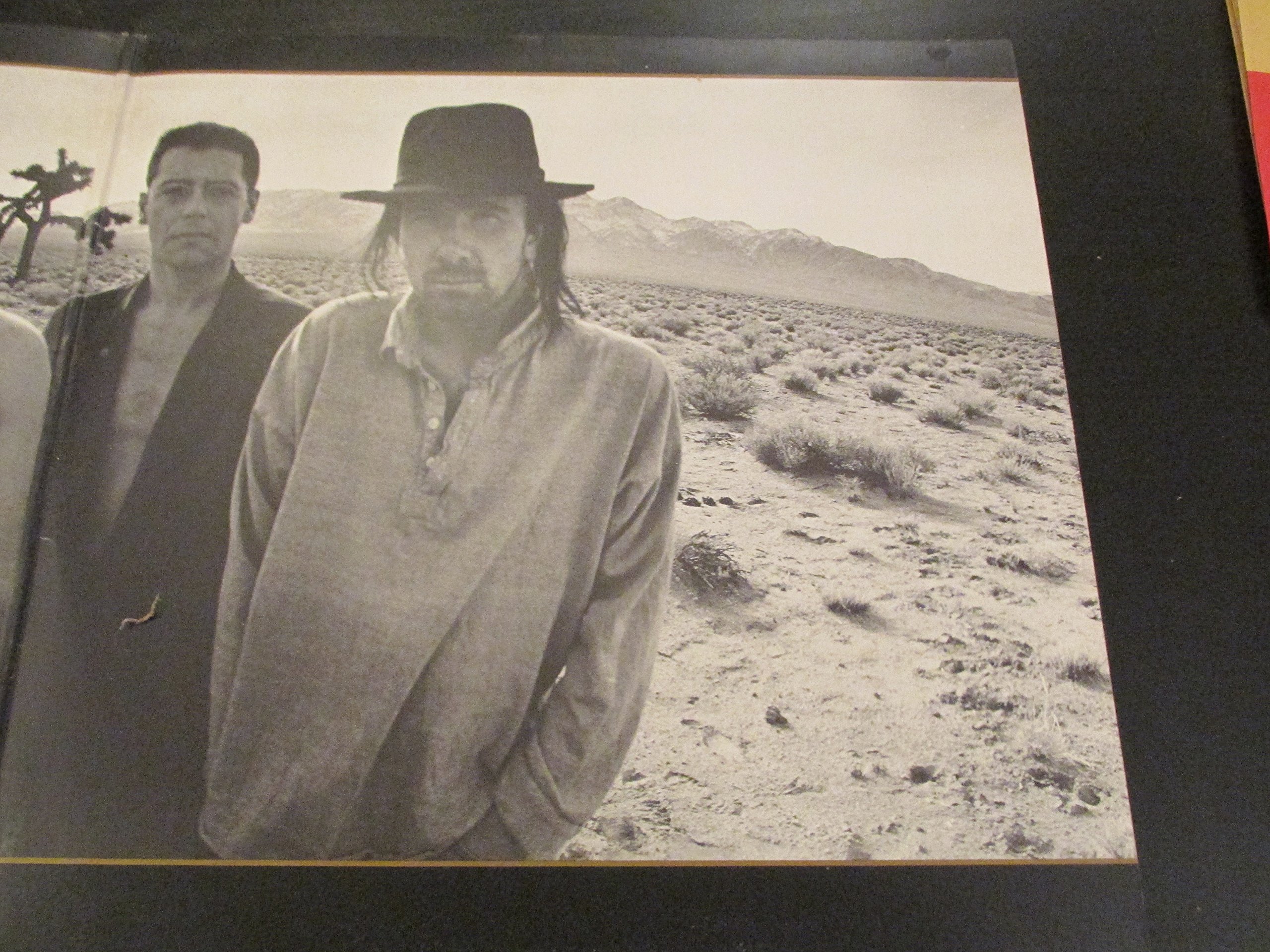 The Joshua Tree