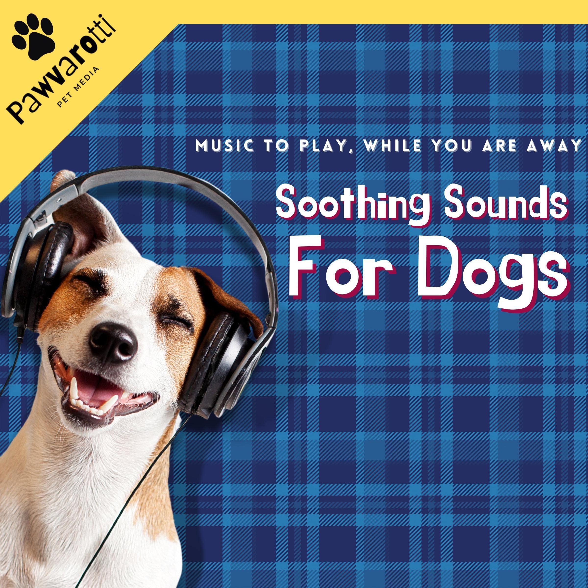Soothing Sounds for Dogs