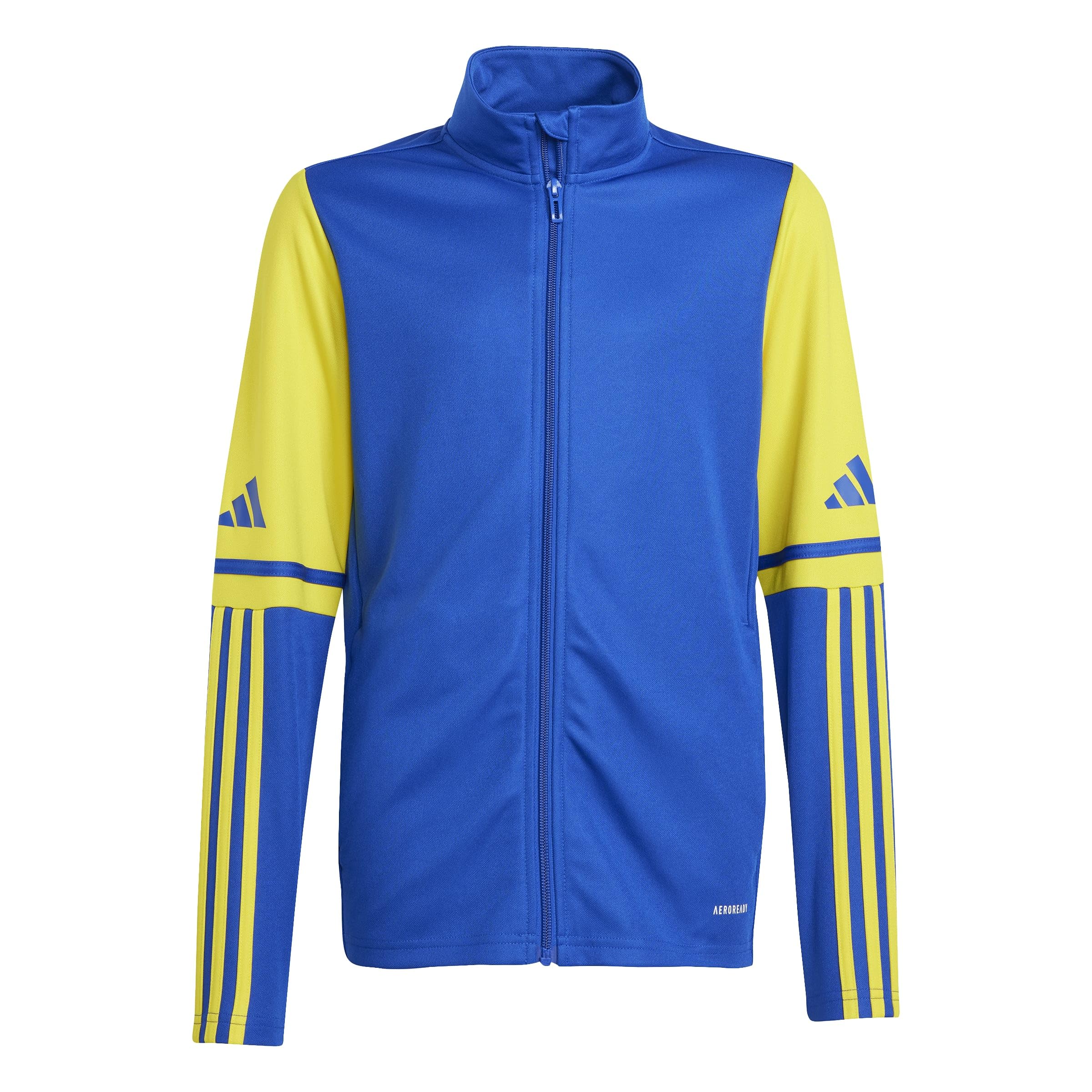 adidas Unisex Kids Squadra25 Training Top Kids Sweatshirt, team royal blue/team yellow, 11-12 Years