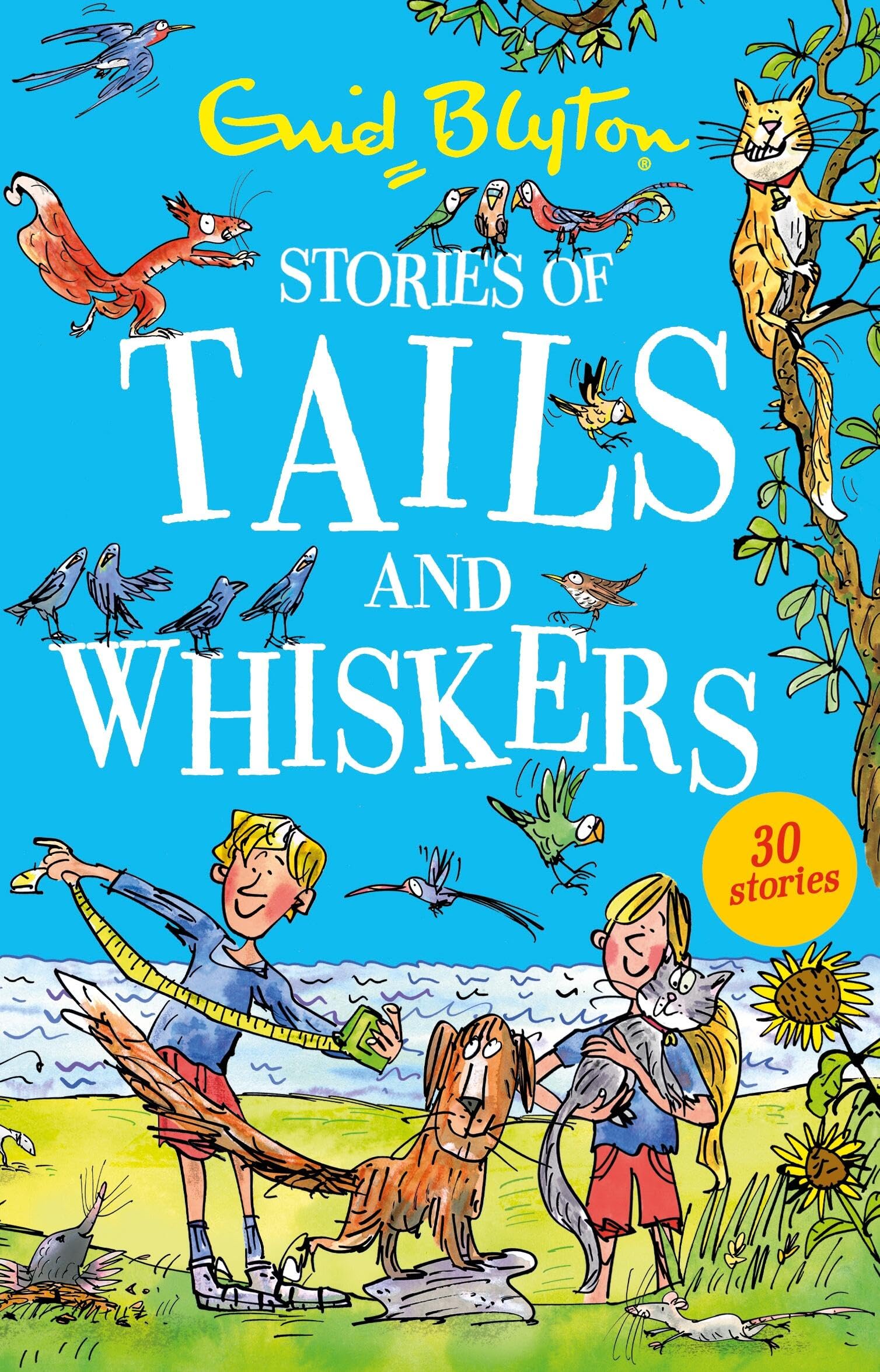 Stories of Tails and Whiskers by Enid Blyton (Paperback Book)