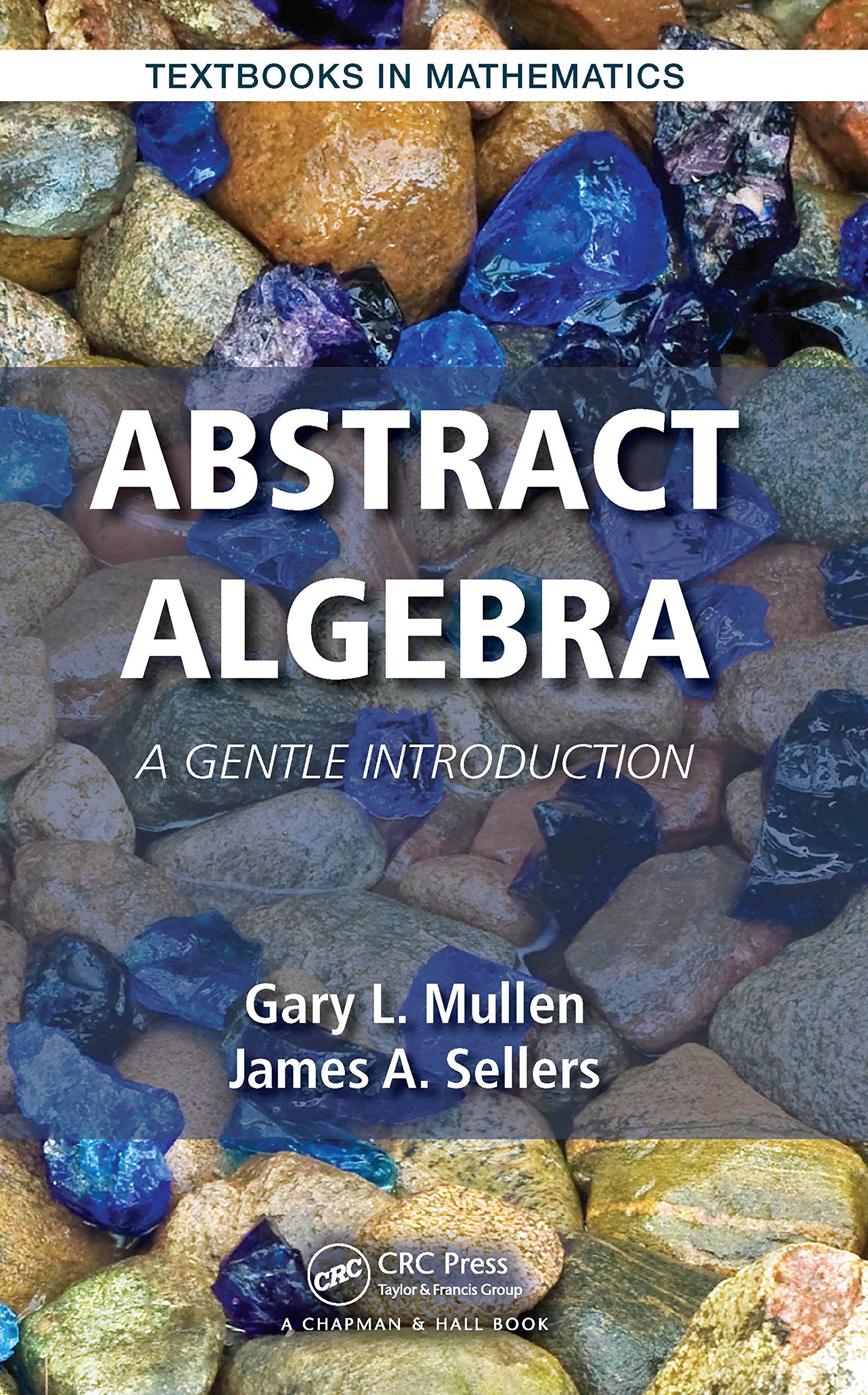 Abstract Algebra: A Gentle Introduction (Textbooks in Mathematics)
