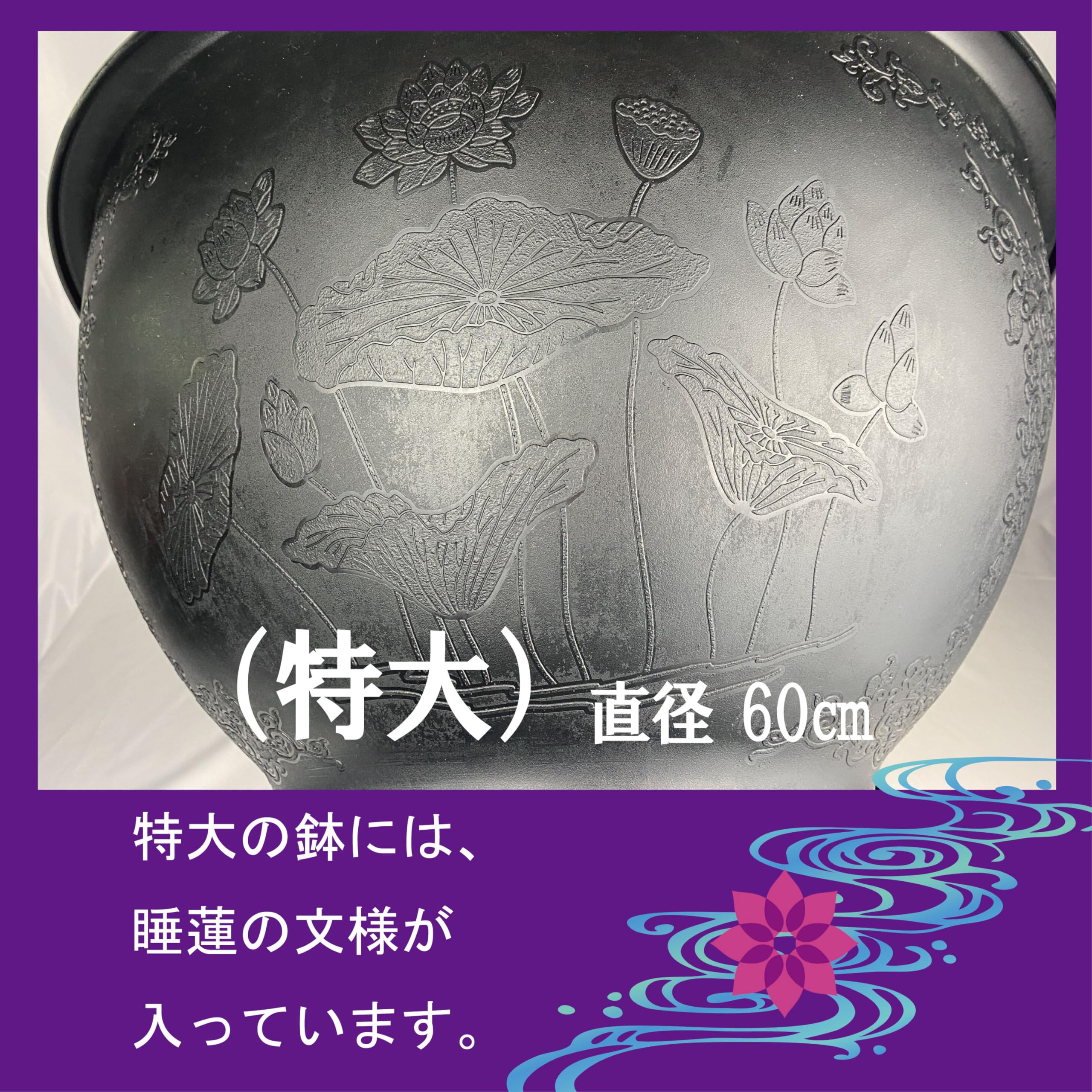 ニ*ノ様 Thailand Creator 熱帯睡蓮　株分け苗　お盆頃発送予定 ニ*ノ様 Thailand Creator 熱帯睡蓮 株分け苗 お盆頃発送予定 ニ*