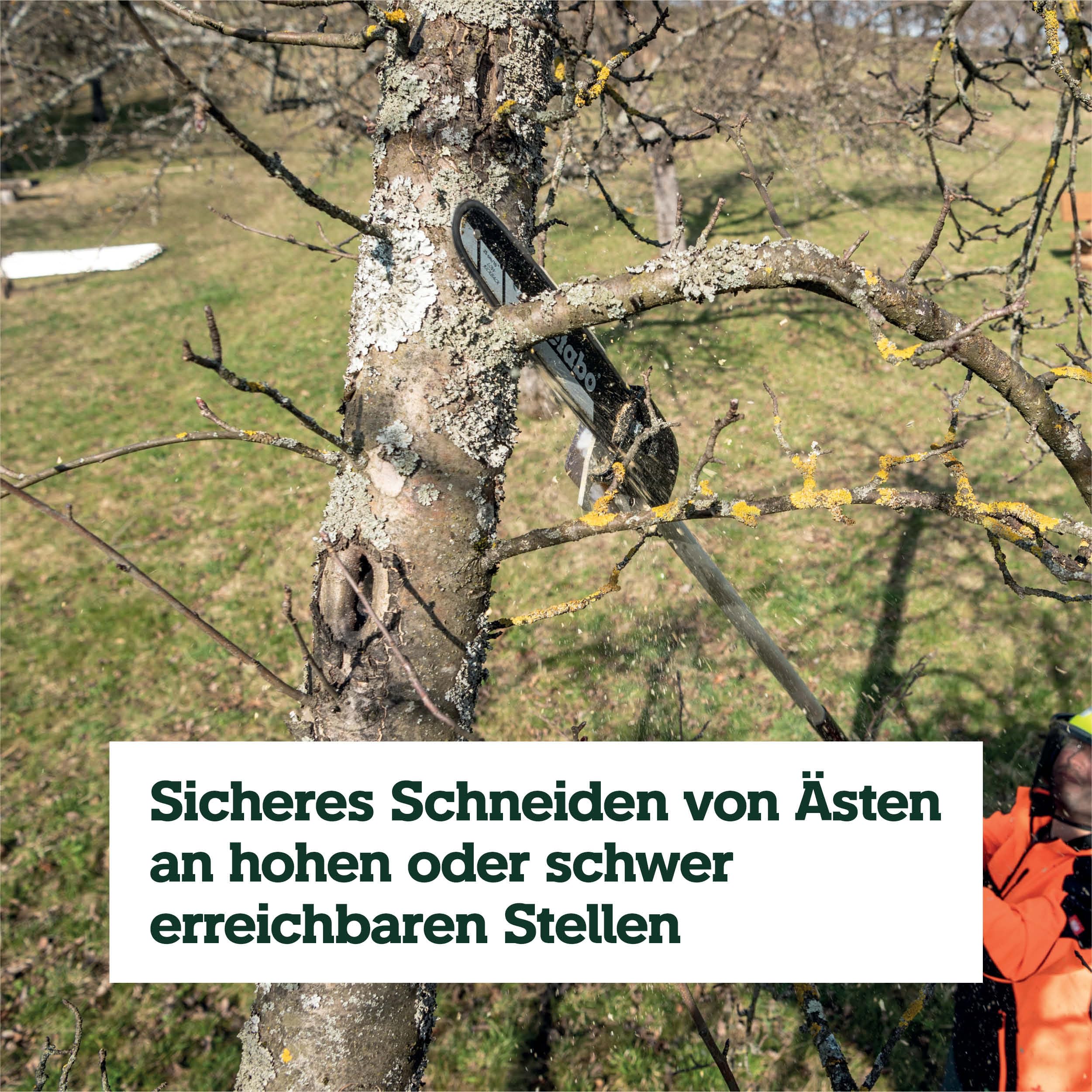 metabo Hochentaster-Aufsatz MA-MS 25, 25 cm Schiene, 18 m/s Kette | Passend für MA 36-18 LTX BL Q, automatische Kettenschmierung, Quick-Schnellkupplung, ohne Akku und Ladegerät