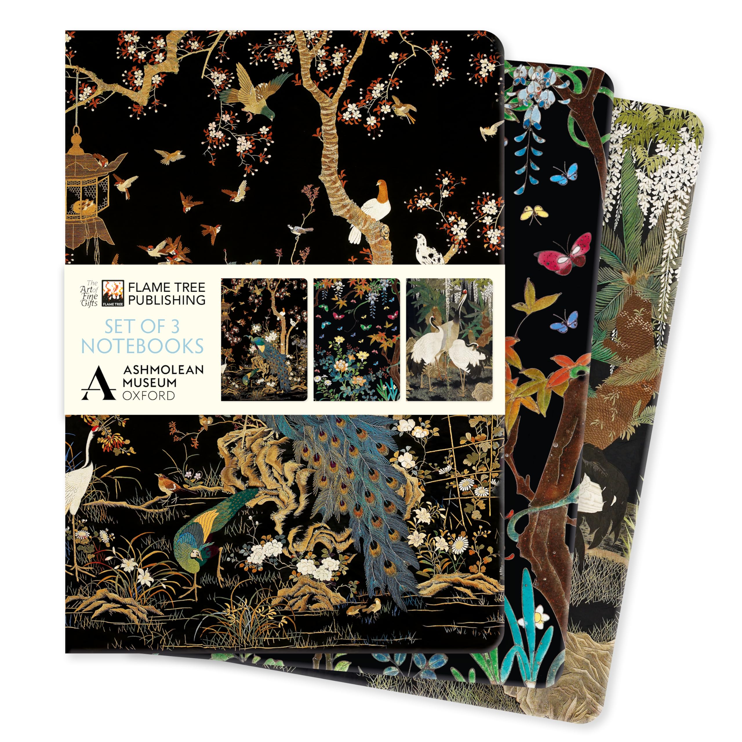 Ashmolean Museum Set of 3 Standard Notebooks (Standard Notebook Collection)
