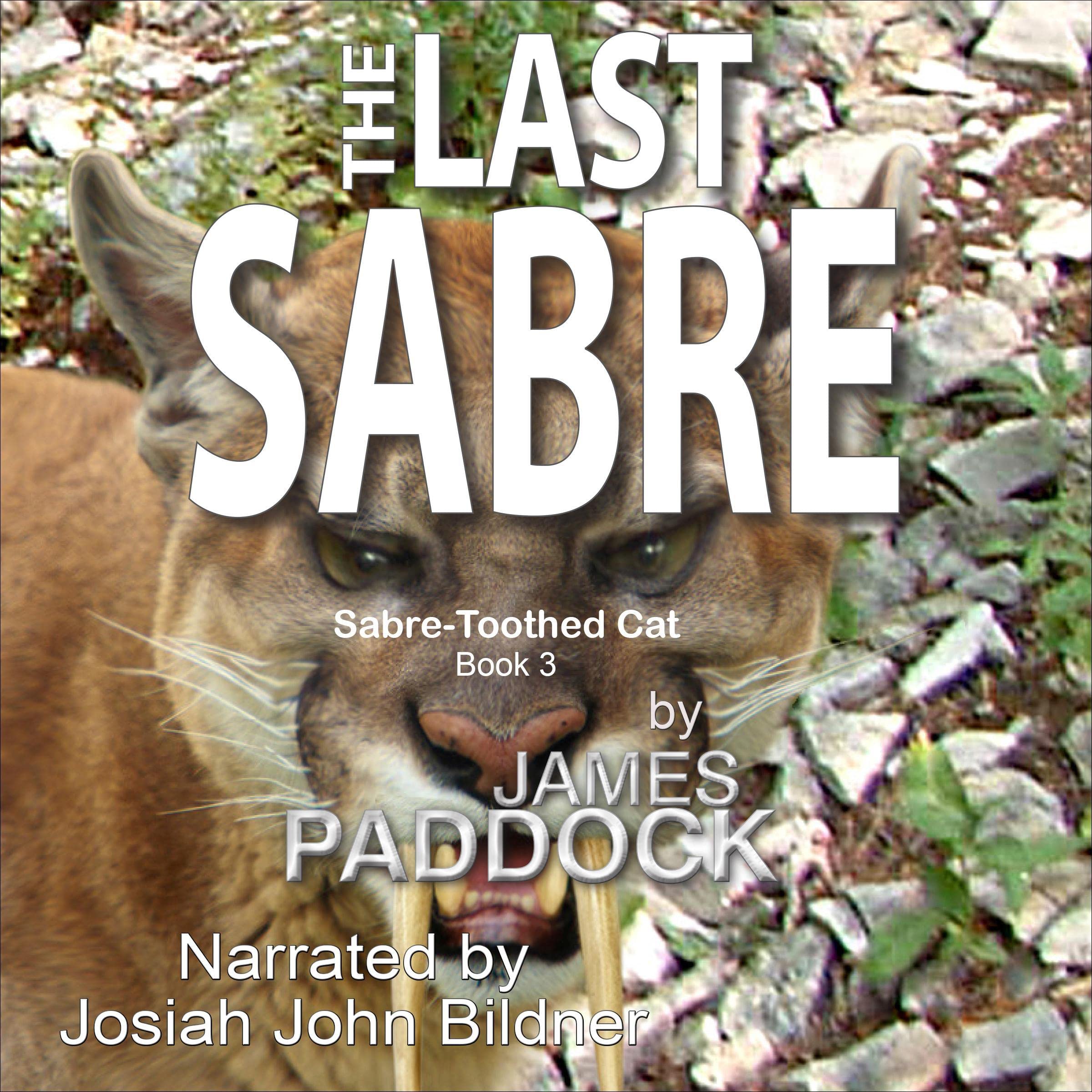 Cover art for The Last Sabre