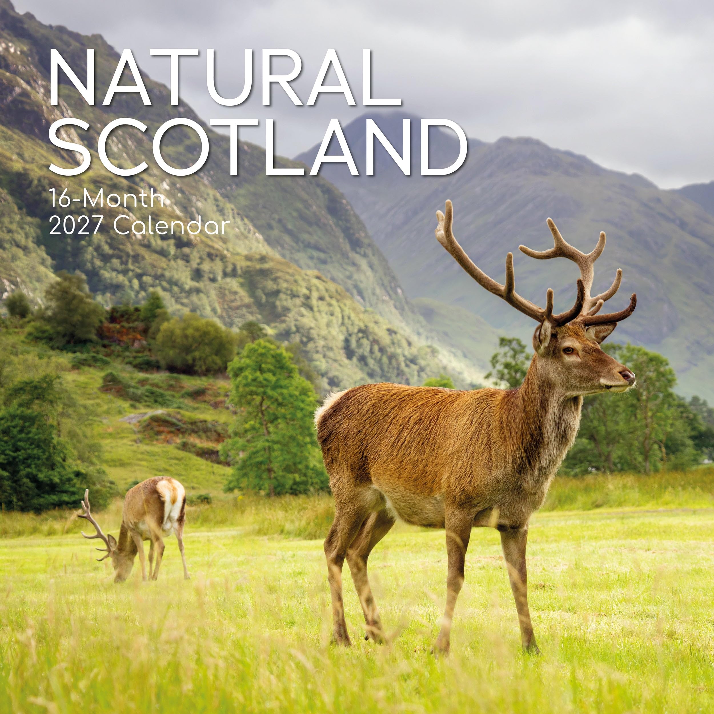 TGSC | Scotland (Natural) 2026-2027 Calendar, 16-Month Square Wall Calendar (Sept 2026-Dec 2027), UK Planner with Natural Landscapes, Home or Office Organiser | 30 x 30 cm