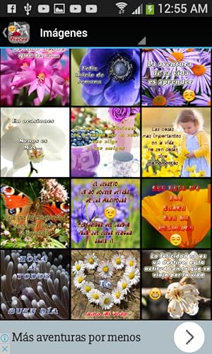 Flores para todos