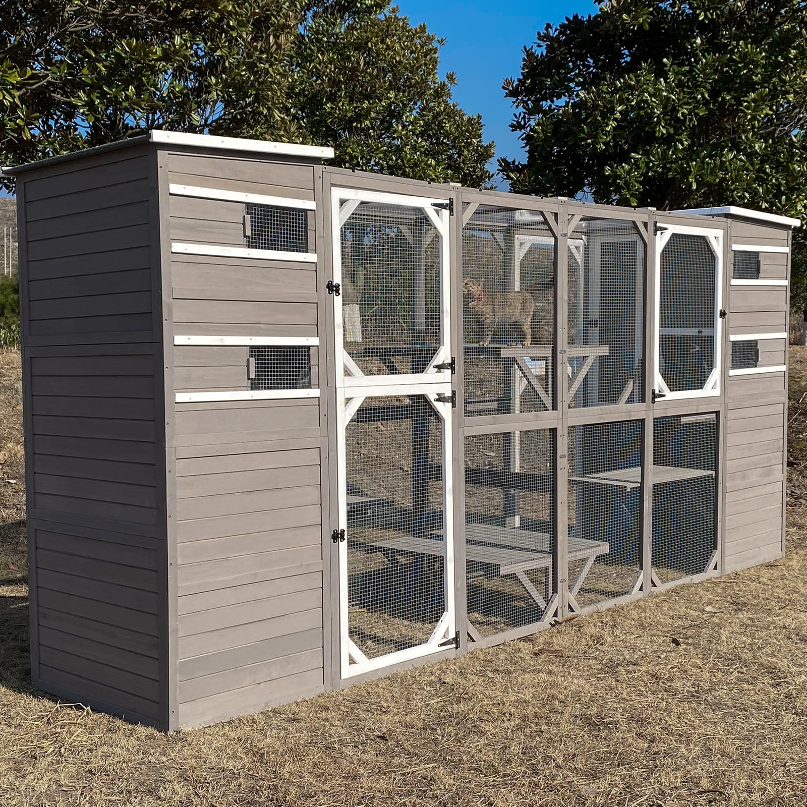 Cat Enclosure Outdoor, Large Catio Cat House Weatherproof Attached to Window for Multi Cats, Asphalt and UV Protection Roofs, Multi Platforms-Combinable-71 H 77L