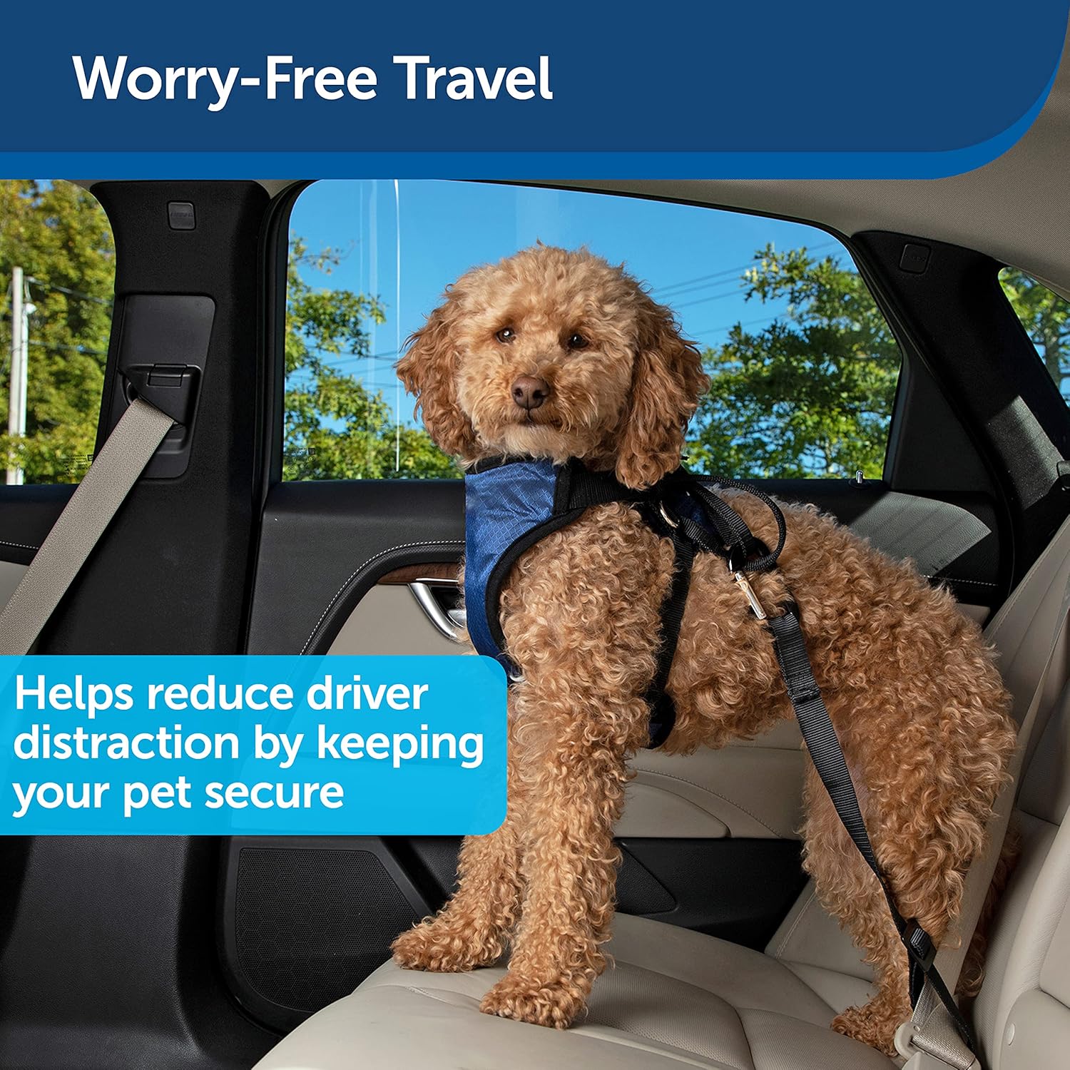 PetSafe Happy Ride Seat Belt Tether for Dogs, Adjustable Strap Keeps Pets Secure in Car : Pet Supplies