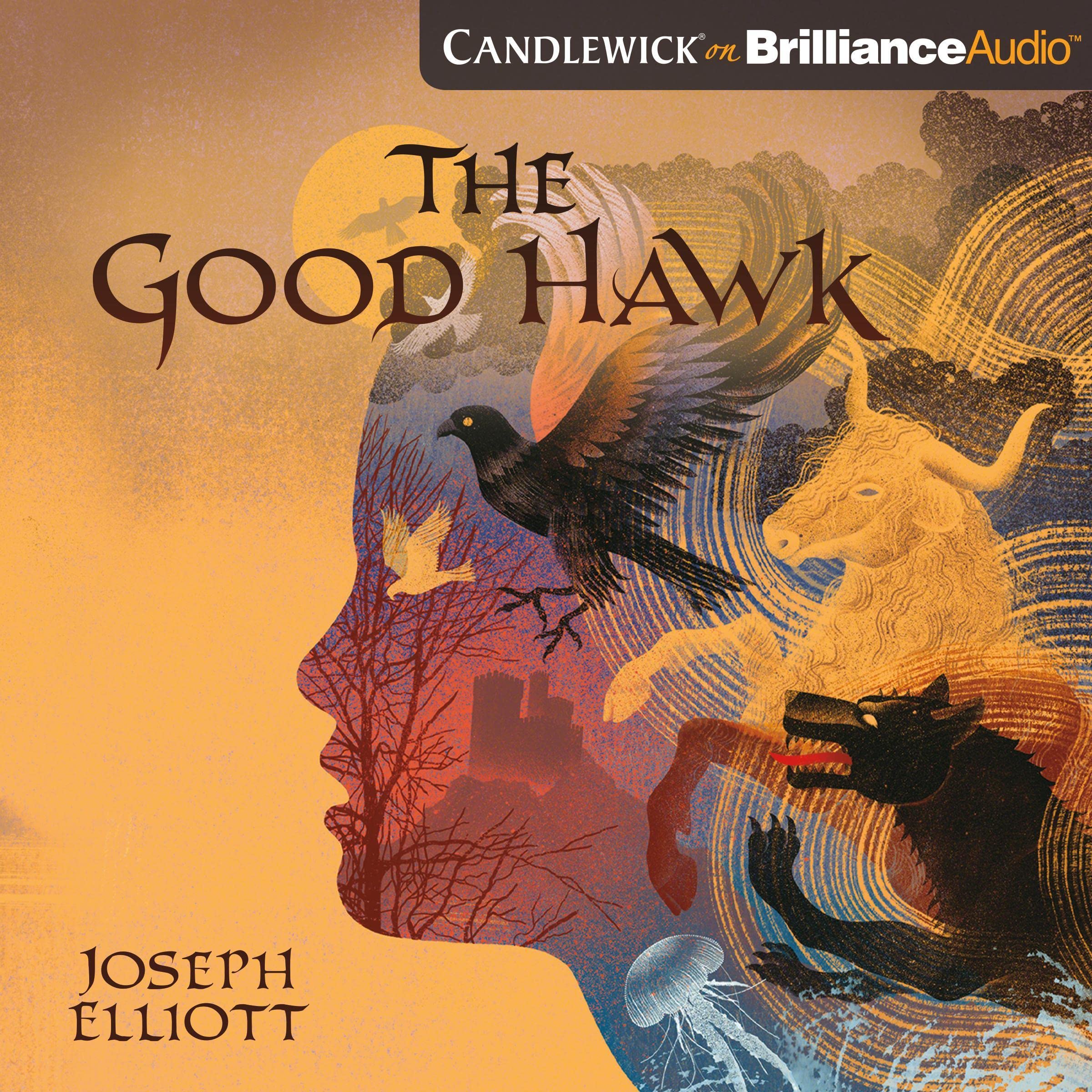 Cover art for The Good Hawk