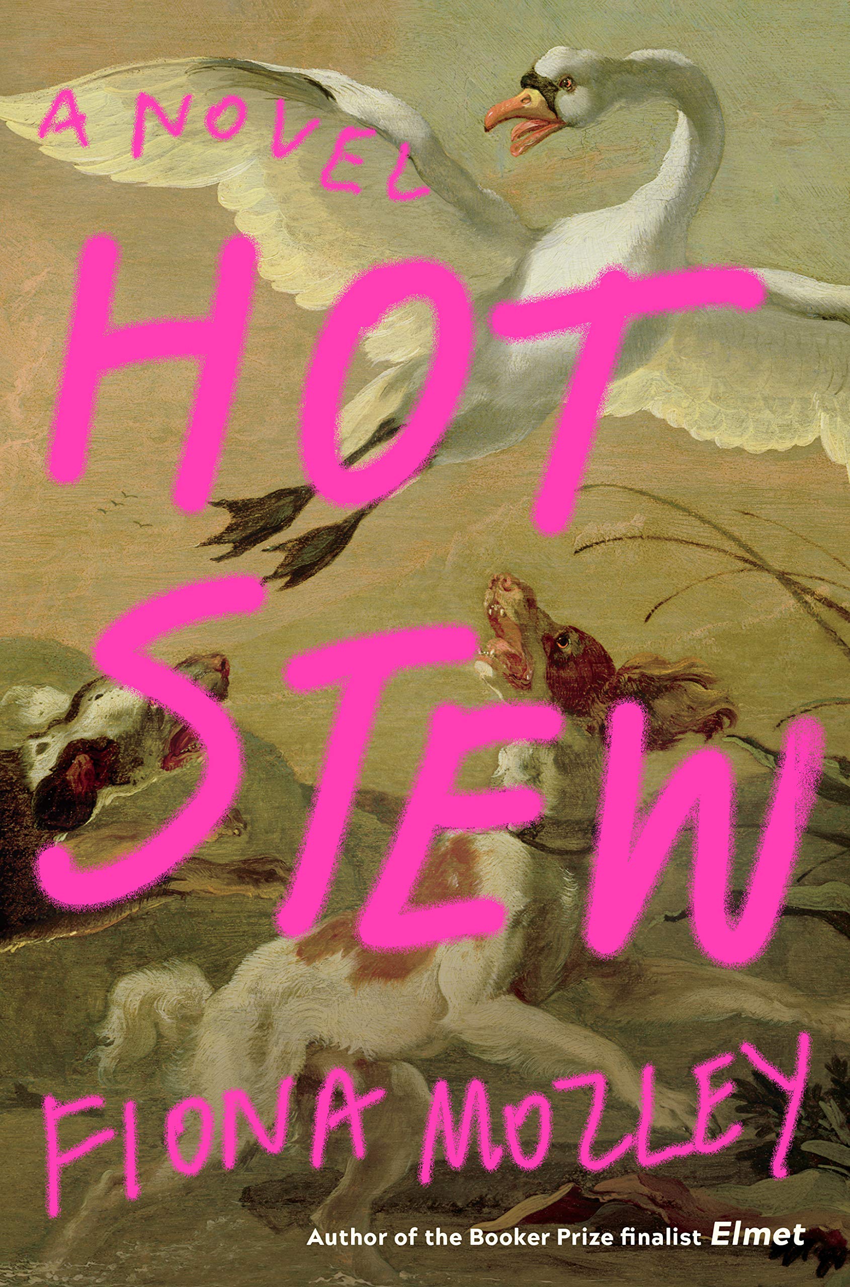 Buy Hot Stew — BookShops.in