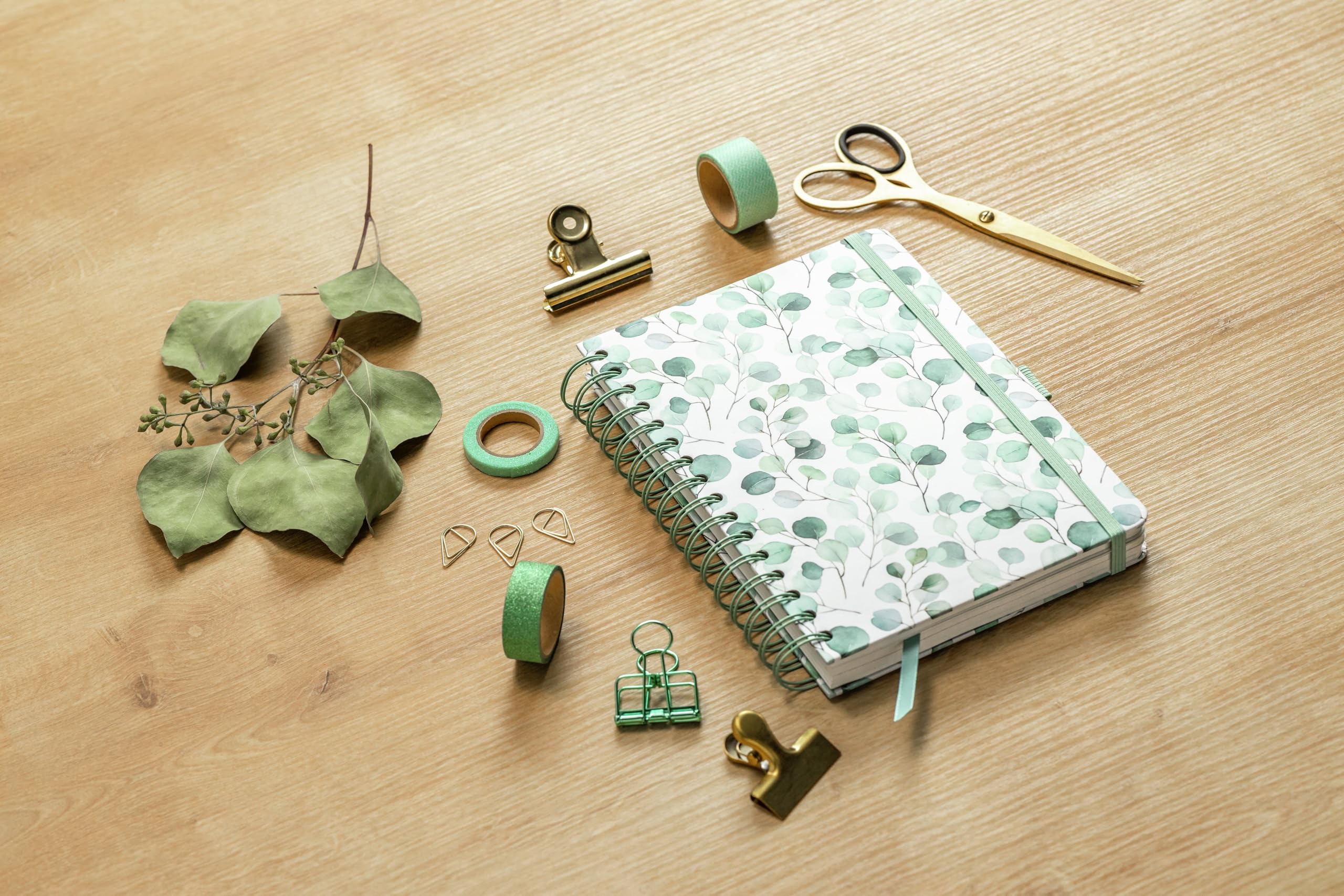 SIGEL JN656 Spiral-Notizbuch Jolie, Eucalyptus Day, ca. A5, blanko: 120 g/m², 240 S., FSC-zertifiziert, vegan