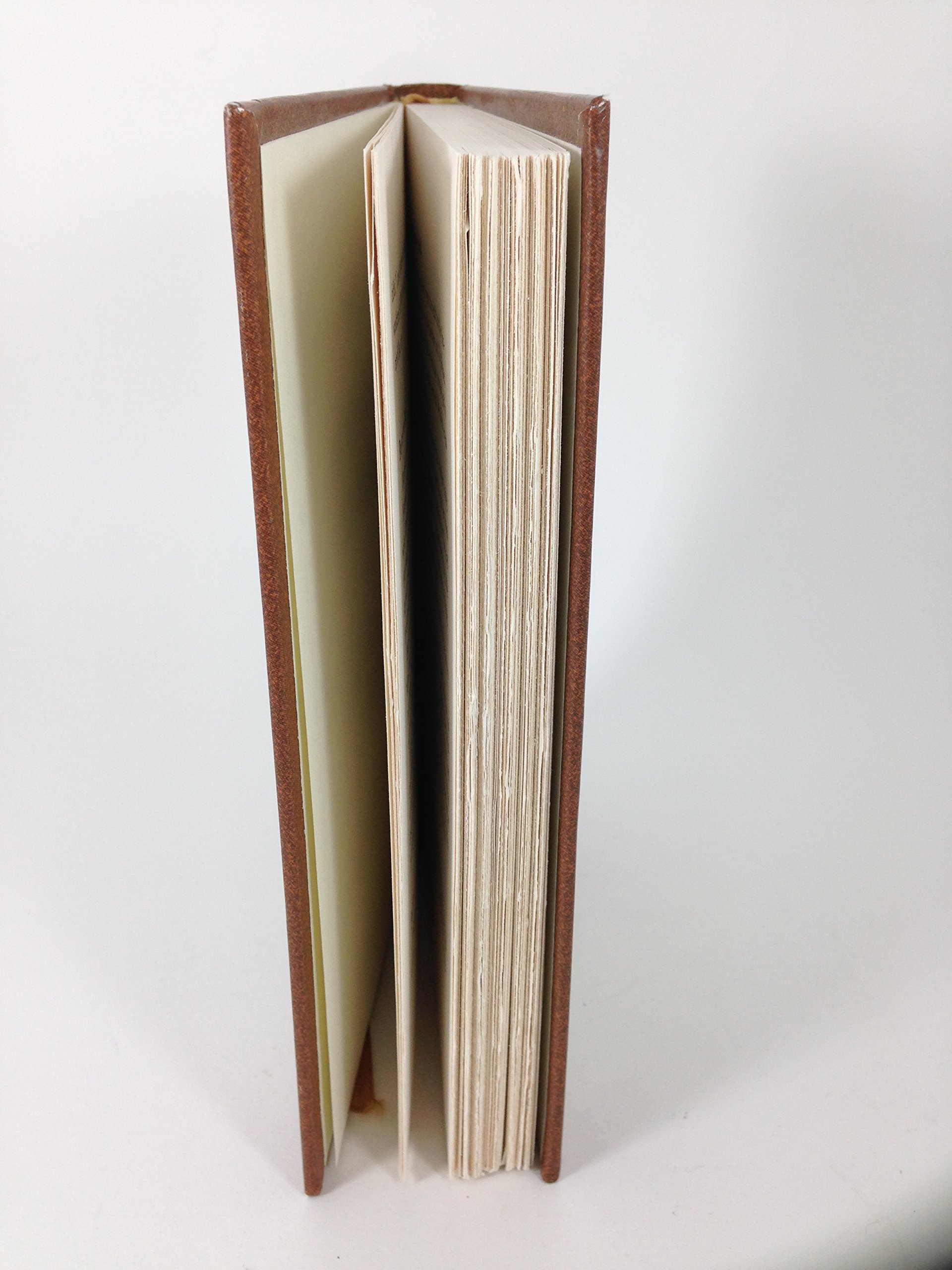 A Picture of Freedom: The Diary of Clotee, a Slave Girl, Belmont Plantation, Virginia 1859 (Dear America Series) - Image 4