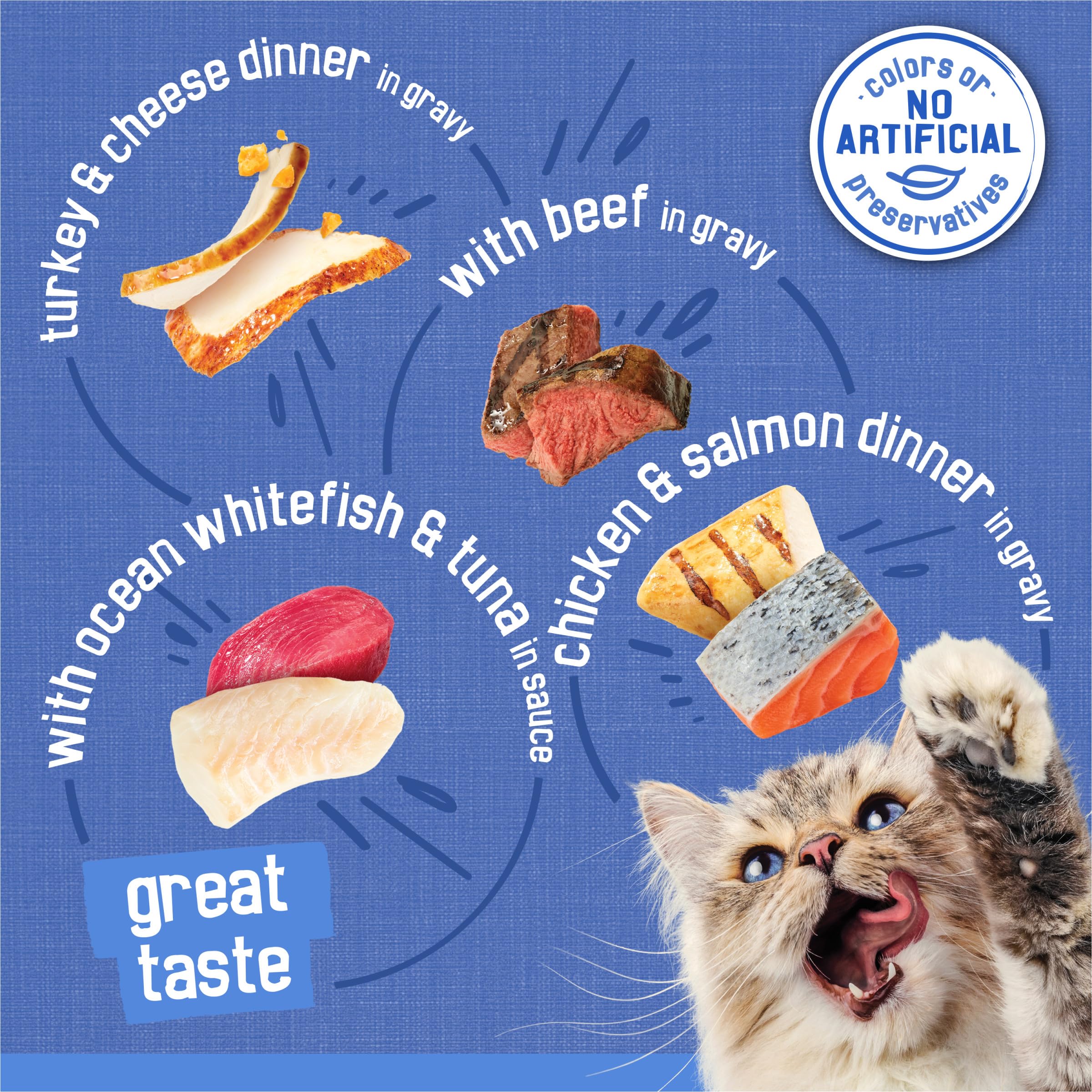 best litter box for three legged cat PawsPik® Top Entry Cat Litter Box & Scooper (XL, Made with 304 Stainle main image 1