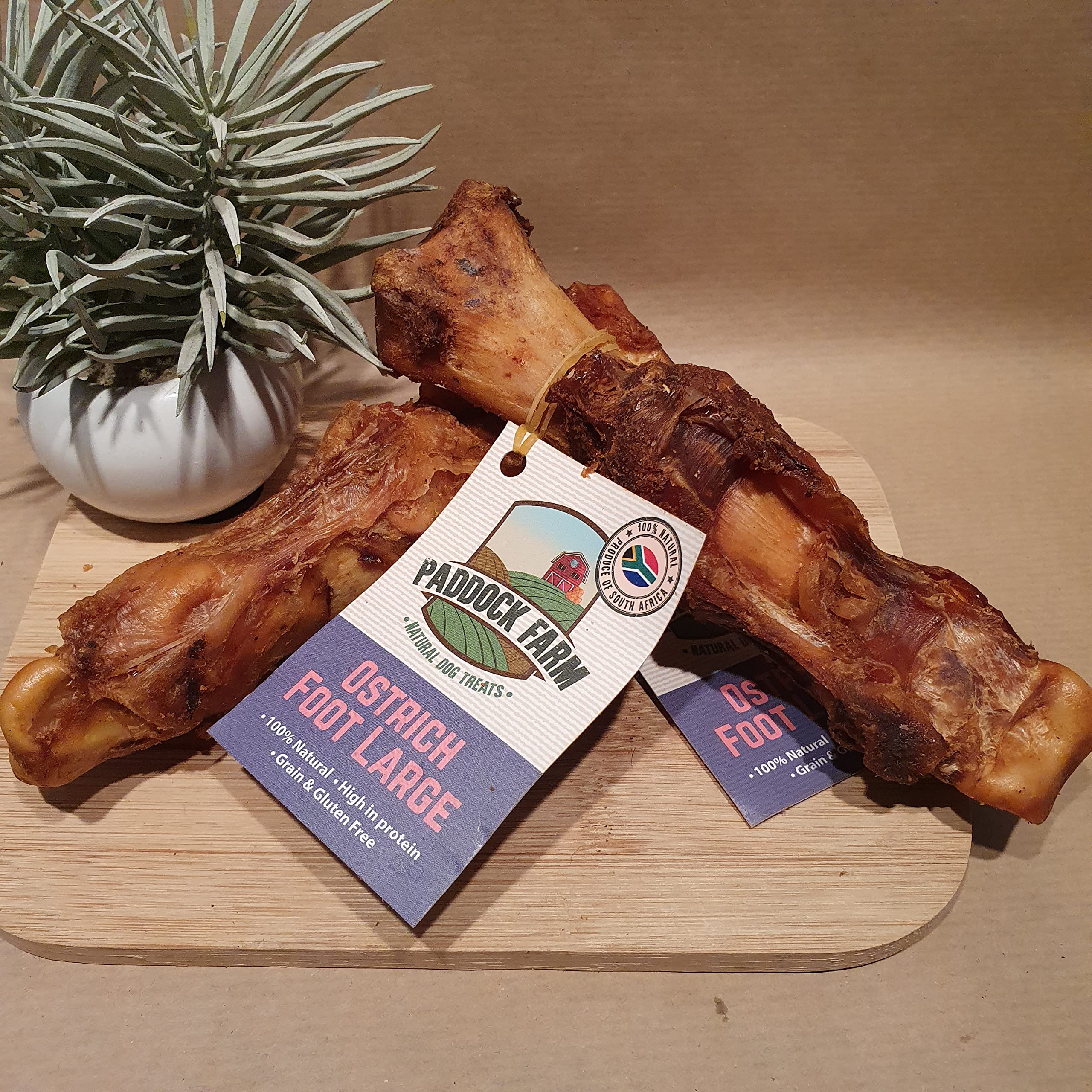 Ostrich Foot (Small or Large) 100% Ostrich, Natural/Raw Feeding, Hypoallergenic, Safer Bone (Small)