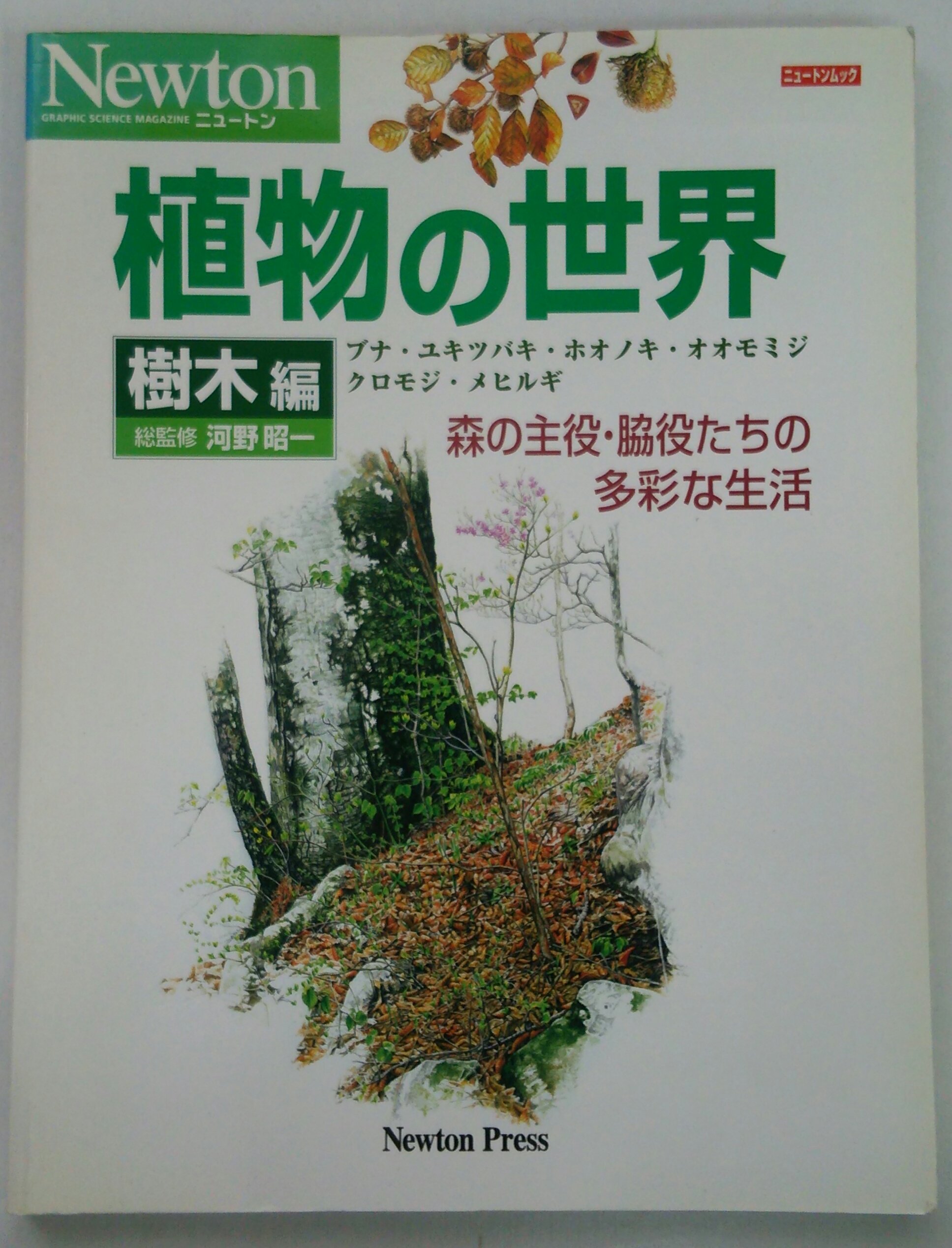 91ksQbLNqJL.jpg