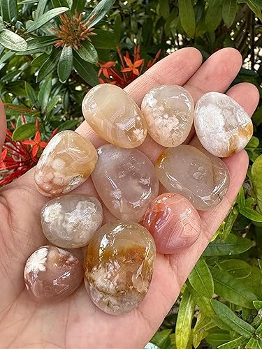 Miniatura 6 de AL POR MAYOR - Piedras pulidas de ágata de flores, piedras preciosas de ágata pulida, cristales curativos de ágata floral (ágata floral, 1 libra),