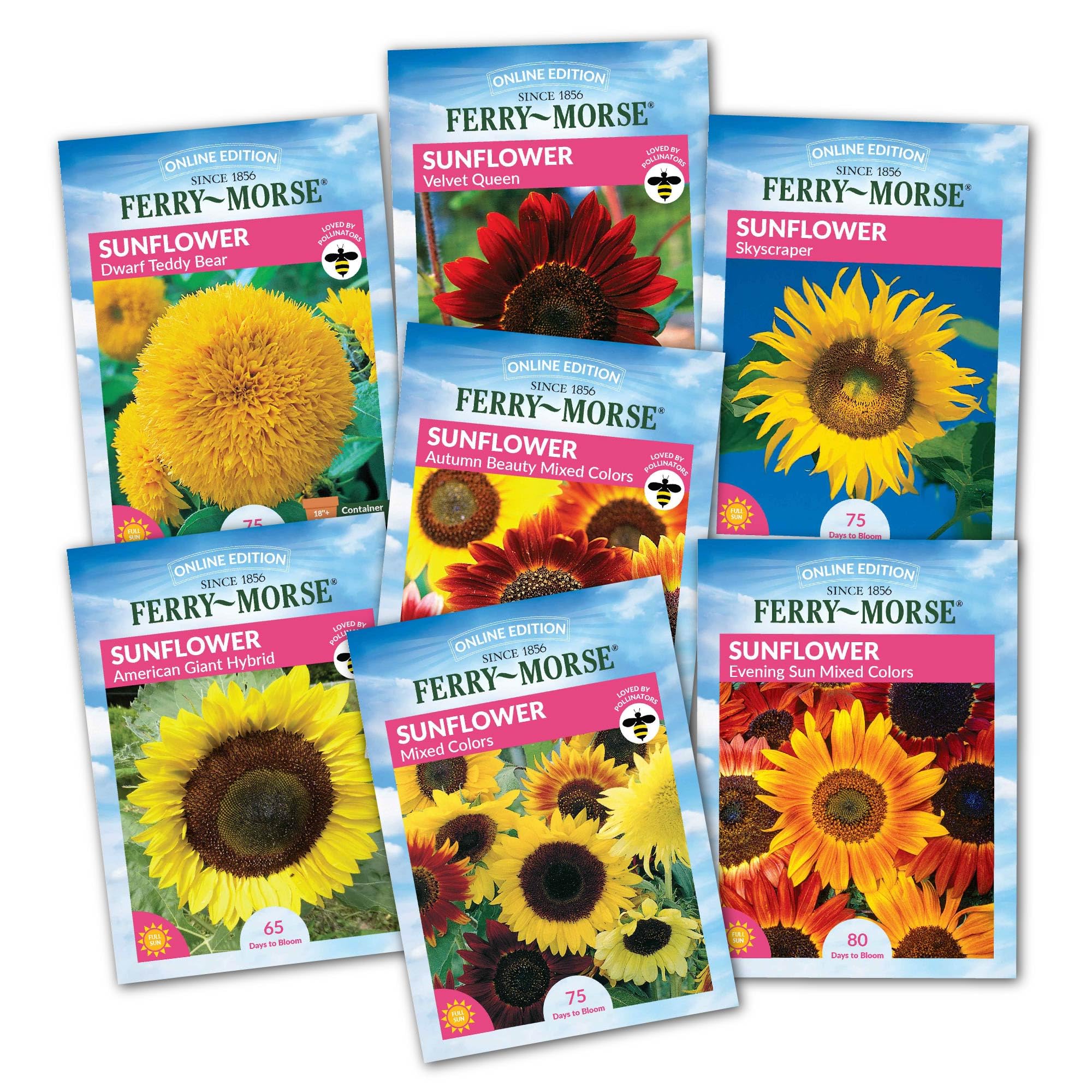 Ferry Morse Sunflower Seeds - Attracts Pollinators, GMO Free, Full Sun - 7 Pack