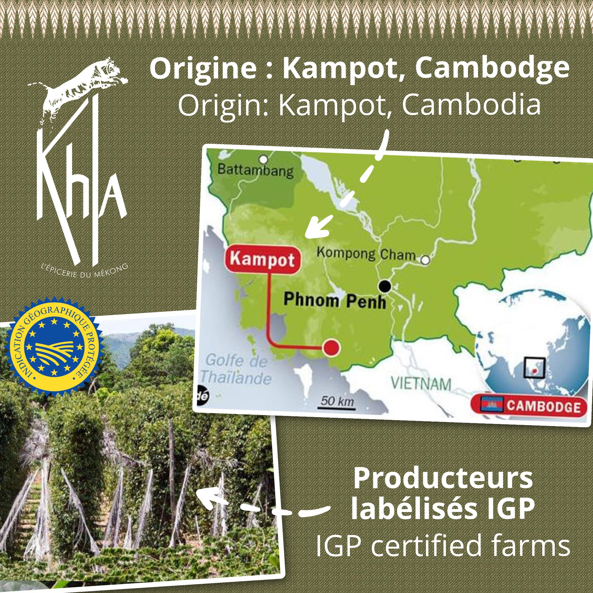 Khla - Poivre Vert Frais de Kampot Certifié Bio 500 g - Sachet Poivre en Grains Biologique - Grand Cru, Aromatique & Végétal - Direct Producteur - Apéritif, Sauces - Origine Cambodge