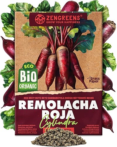 ZenGreens® - Semillas de remolacha roja cylindra bio