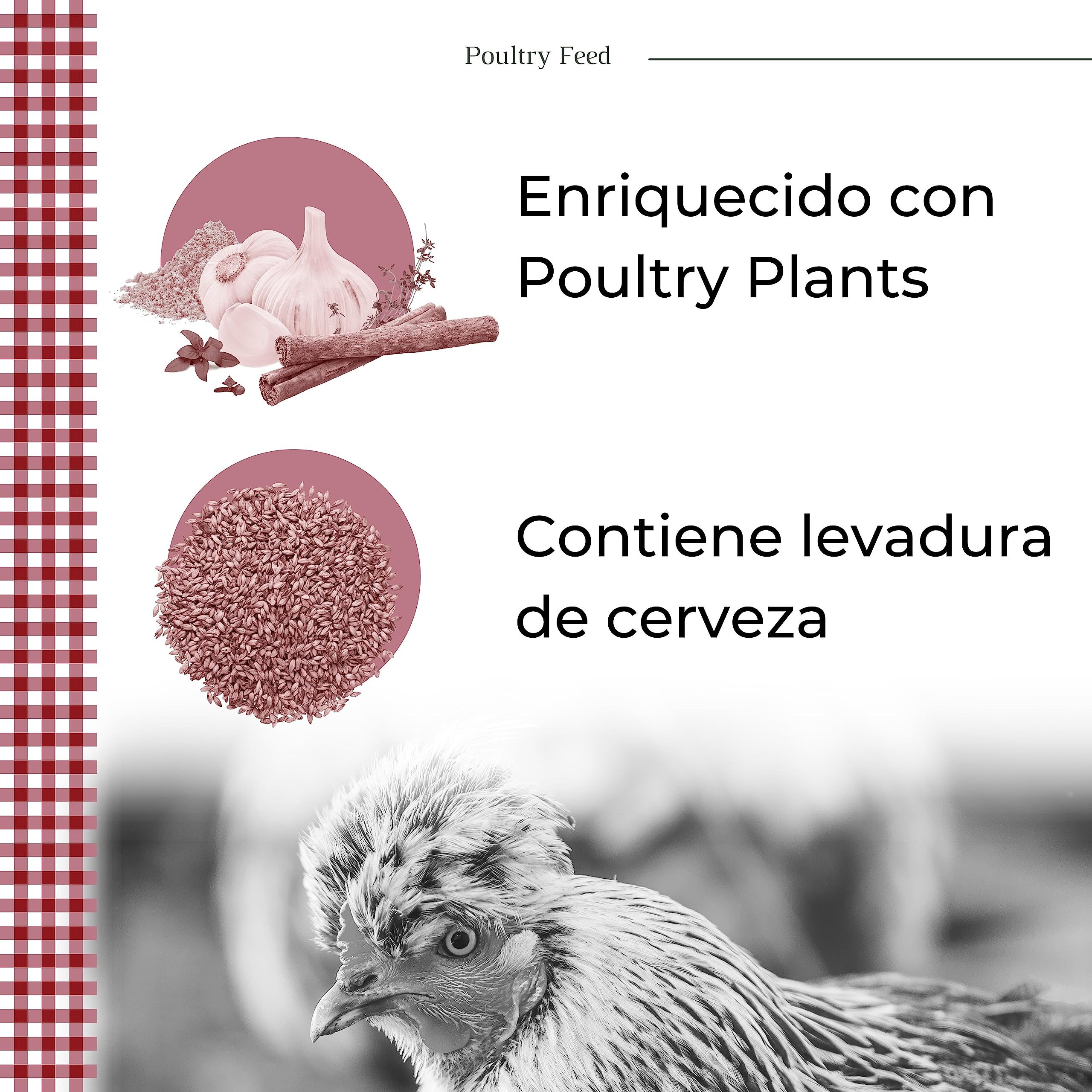 Pienso para Gallinas Ponedoras y Ornamentales | Alimento con Fórmula Exclusiva | Poultry Feed Saco 25 kg | Rico en Proteínas y Grasas Saludables para un Plumaje Vistoso (Pack 6)