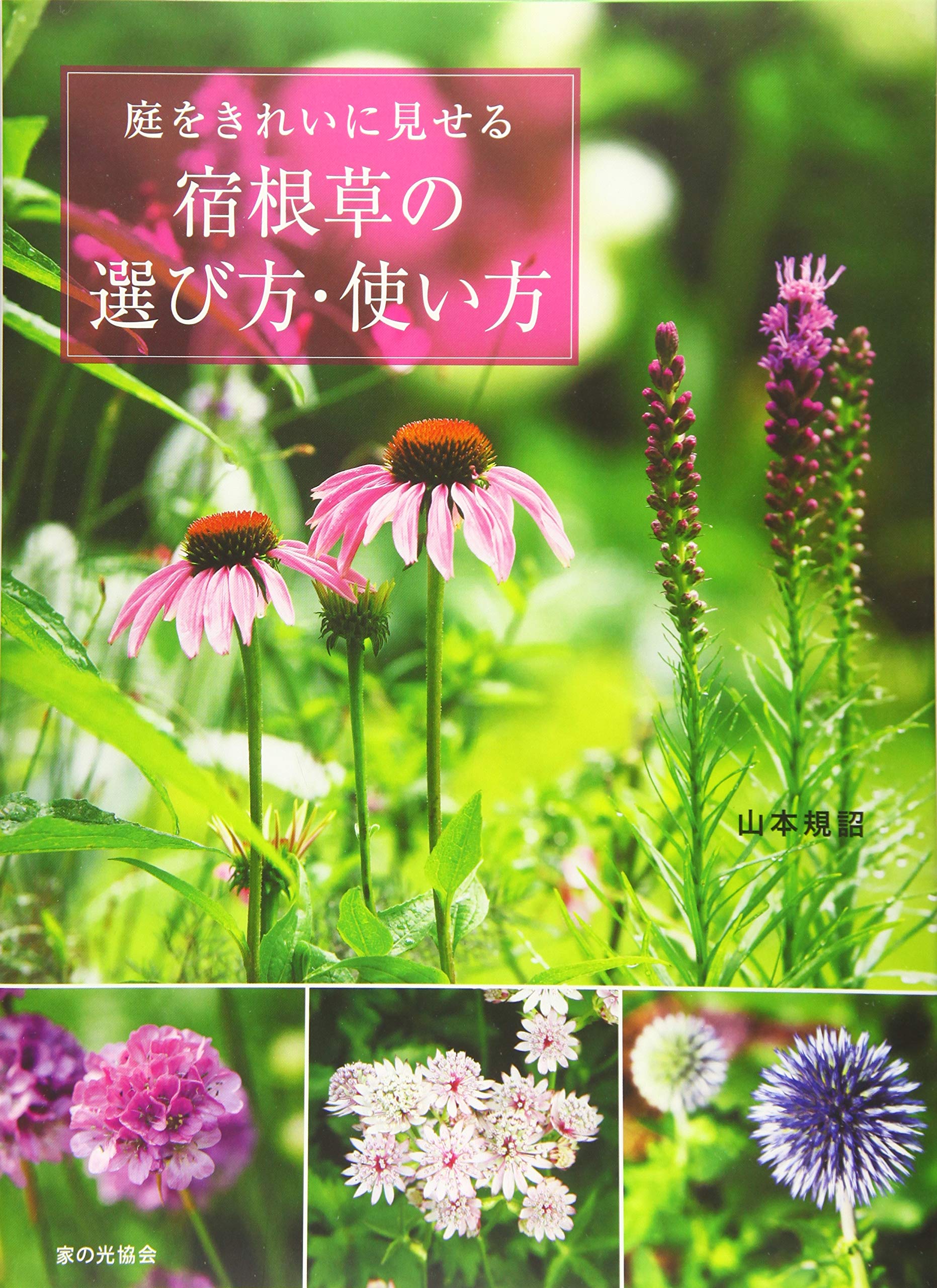 庭をきれいに見せる宿根草の選び方・使い方 | 山本 規詔 |本 | 通販 