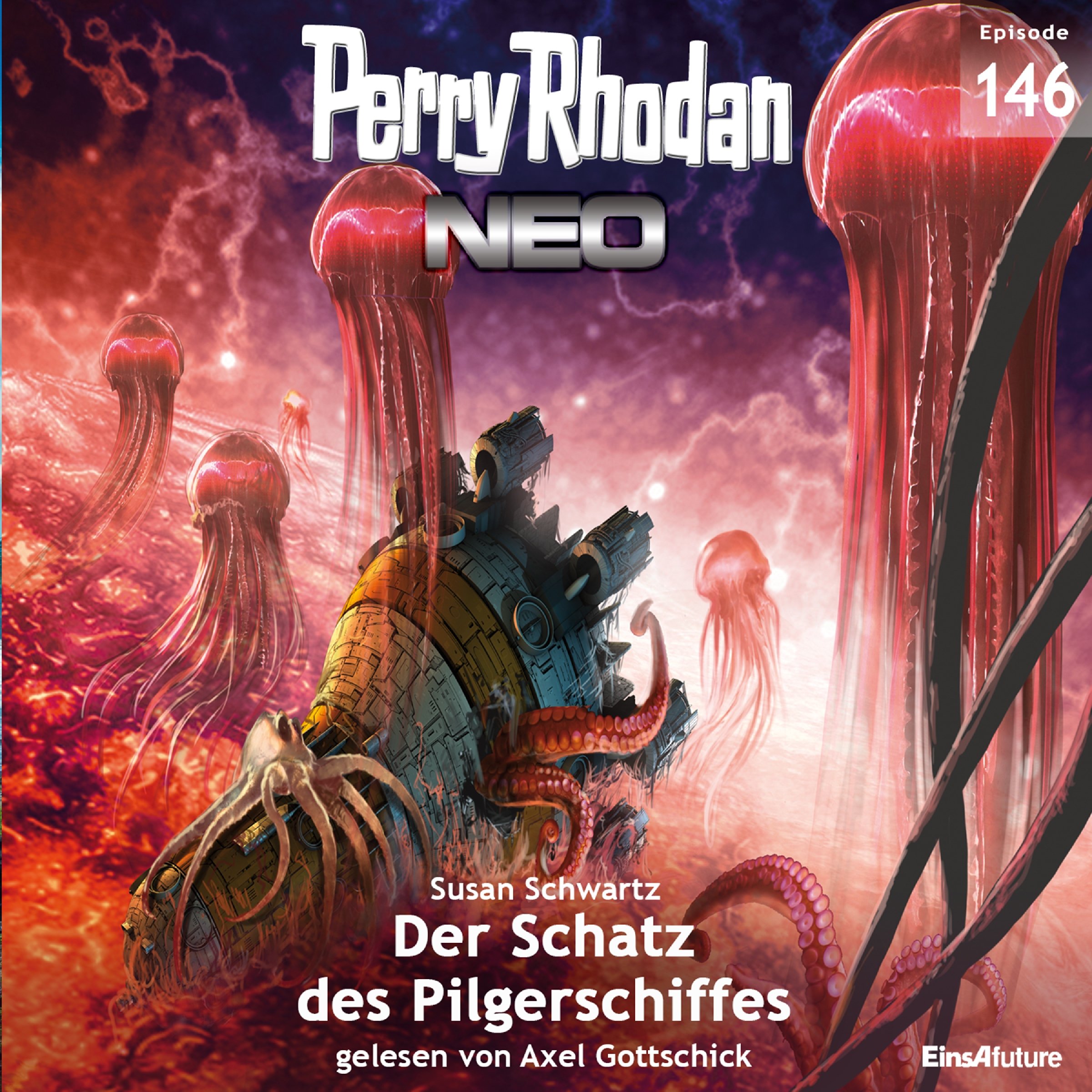 Cover art for Der Schatz des Pilgerschiffes
