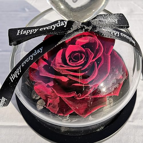 Miniatura 3 de Abbie Home Rosa preservada para siempre, regalos de cumpleaños para mujeres, mamá, esposa, abuela, flor real, vida eterna, rosas nunca marchitas en