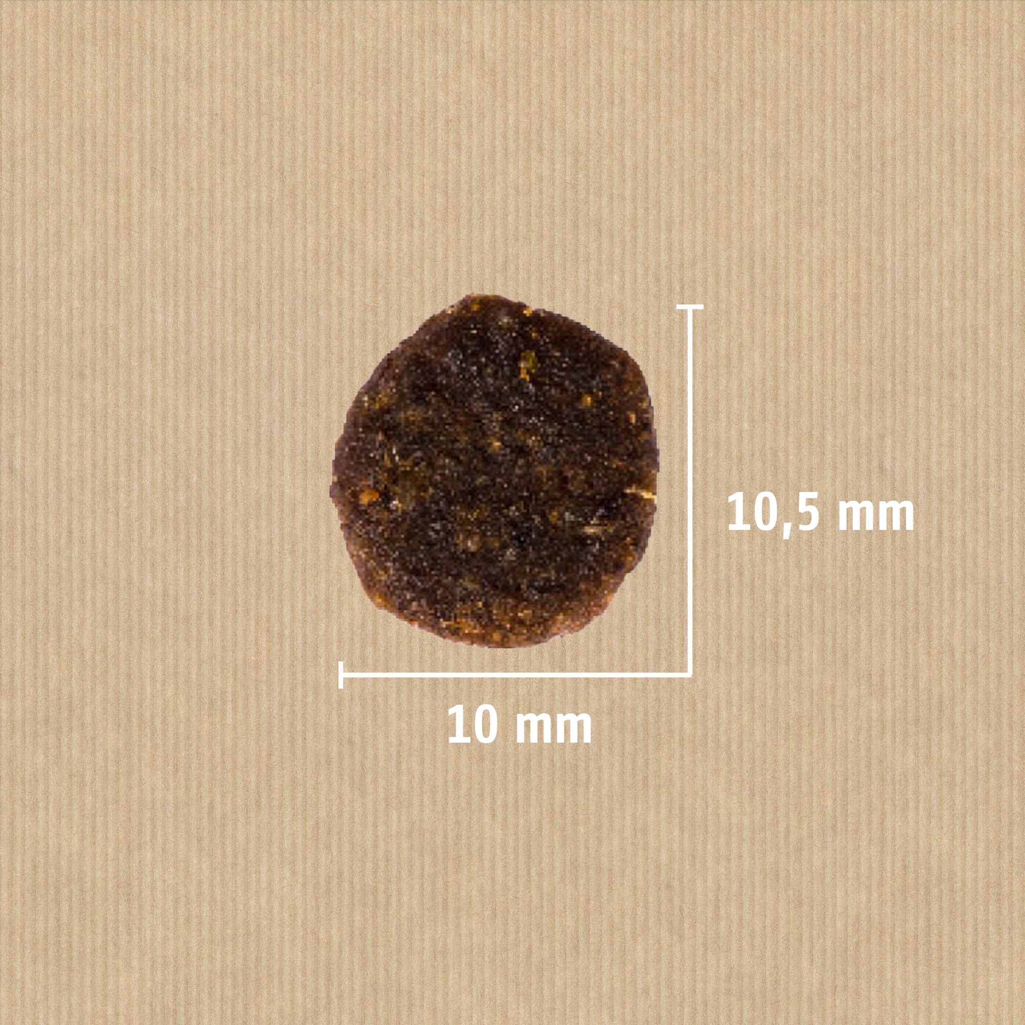 Christopherus - Comestible sin Cereales, Cordero + Patata, Cachorro y Perro Joven, 1 Unidad (12 Gramos)