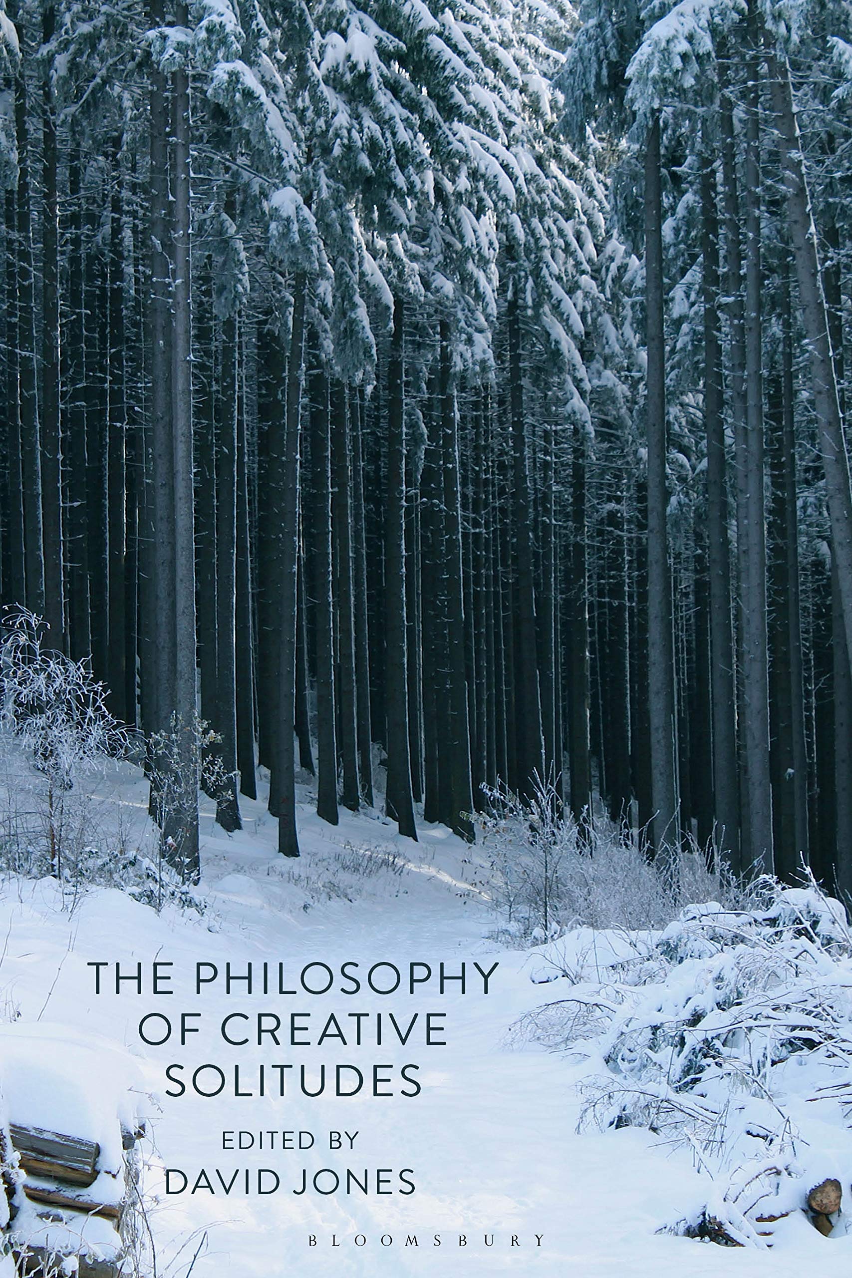 The Philosophy of Creative Solitudes by David Jones - 9781350212534