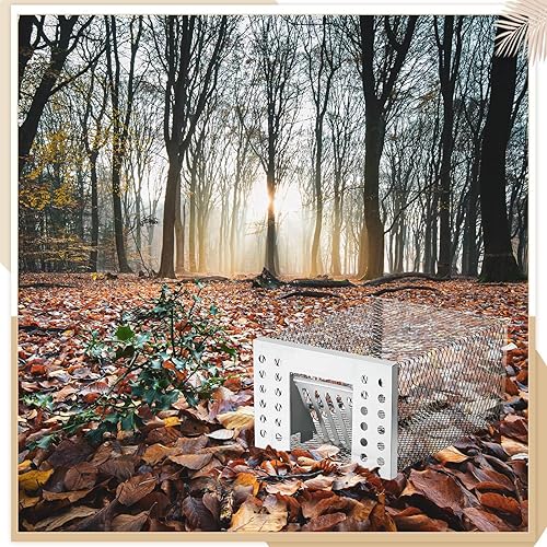 Miniatura 6 de 3 piezas de trampa para ratas, jaula para ardillas, trampa para roedores pequeños, para interiores y exteriores, para atrapar y liberar después,
