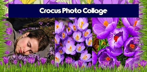 Crocus Photo Collage