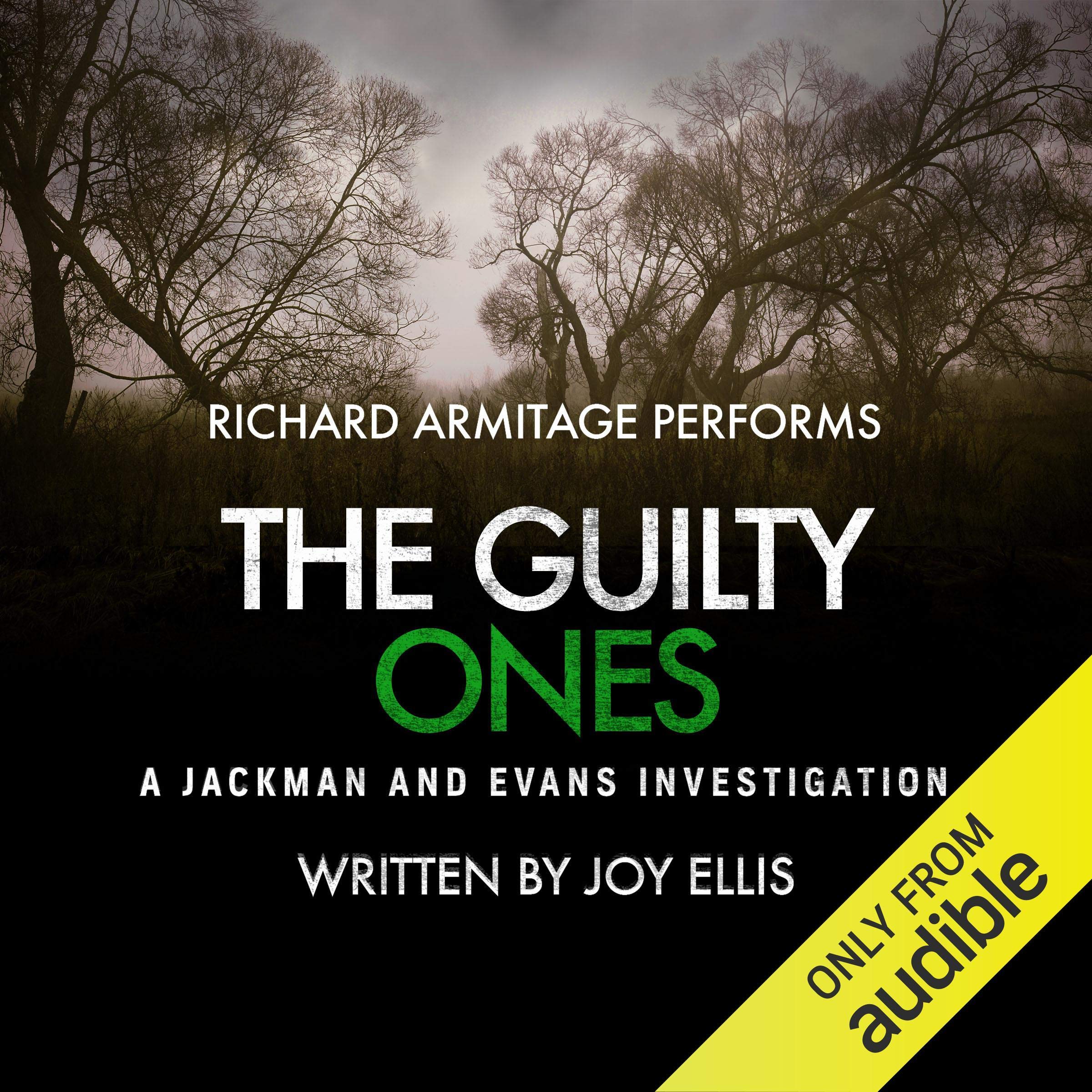 Cover art for The Guilty Ones