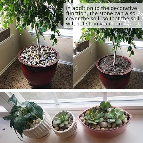 Miniatura 2 de Piedras para plantas, 7 libras, rocas naturales de río para jardín, acuarios, grava de 1-1.5 pulgadas