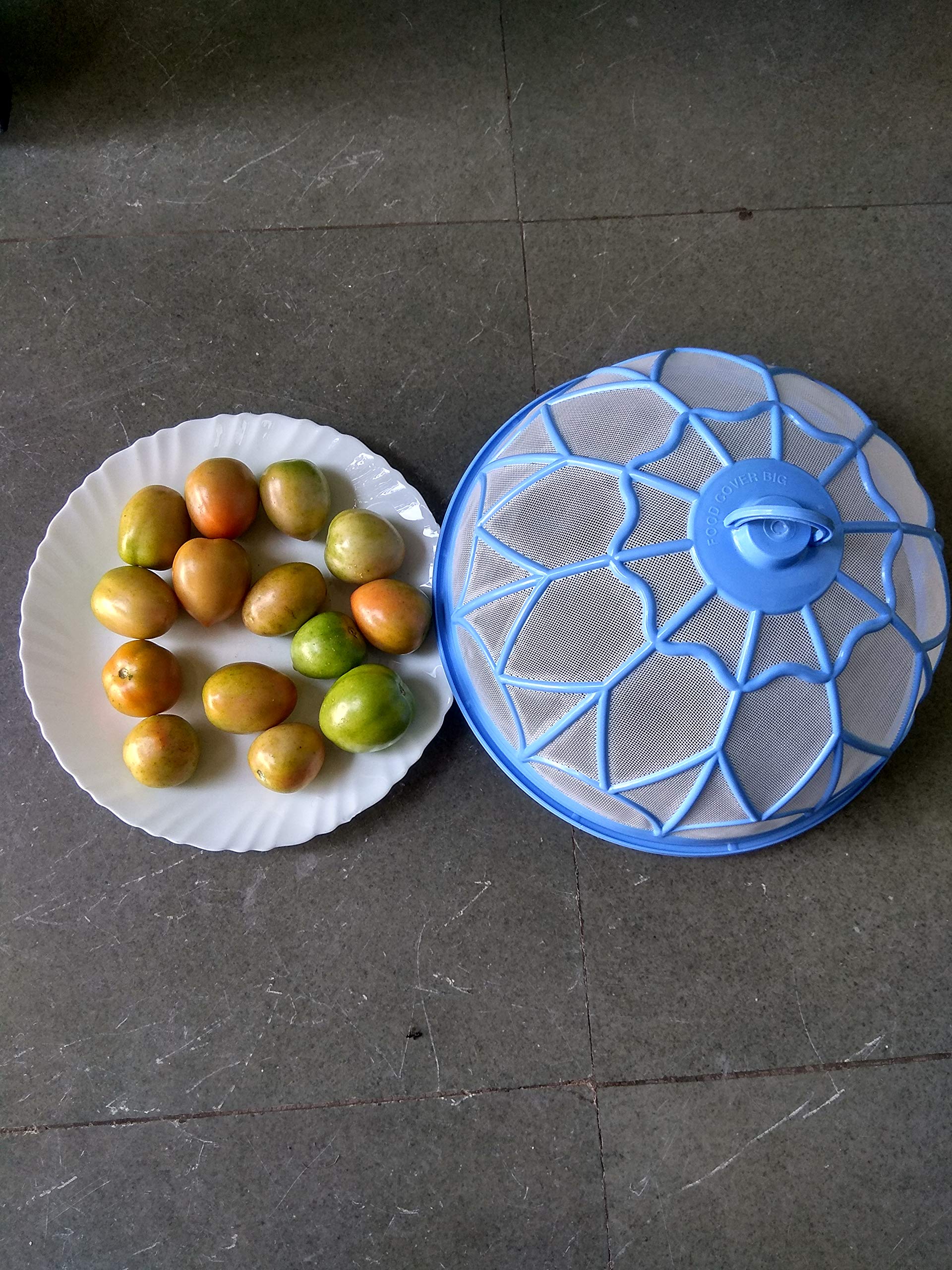 Babbu Food Dome Round Plastic Net 12.75 Inch Food Cover Kitchen Table Flies Mosquitoes Insect Proof Dining Tables Covers Rice Vegetable Covers for Anti Fly Mosquito Mesh (Light Blue) 1