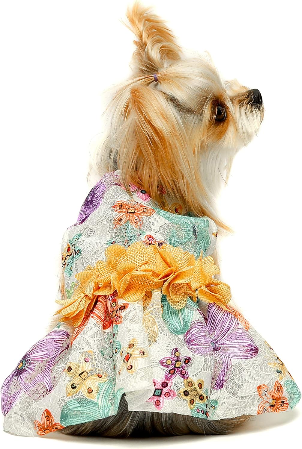dog frocks