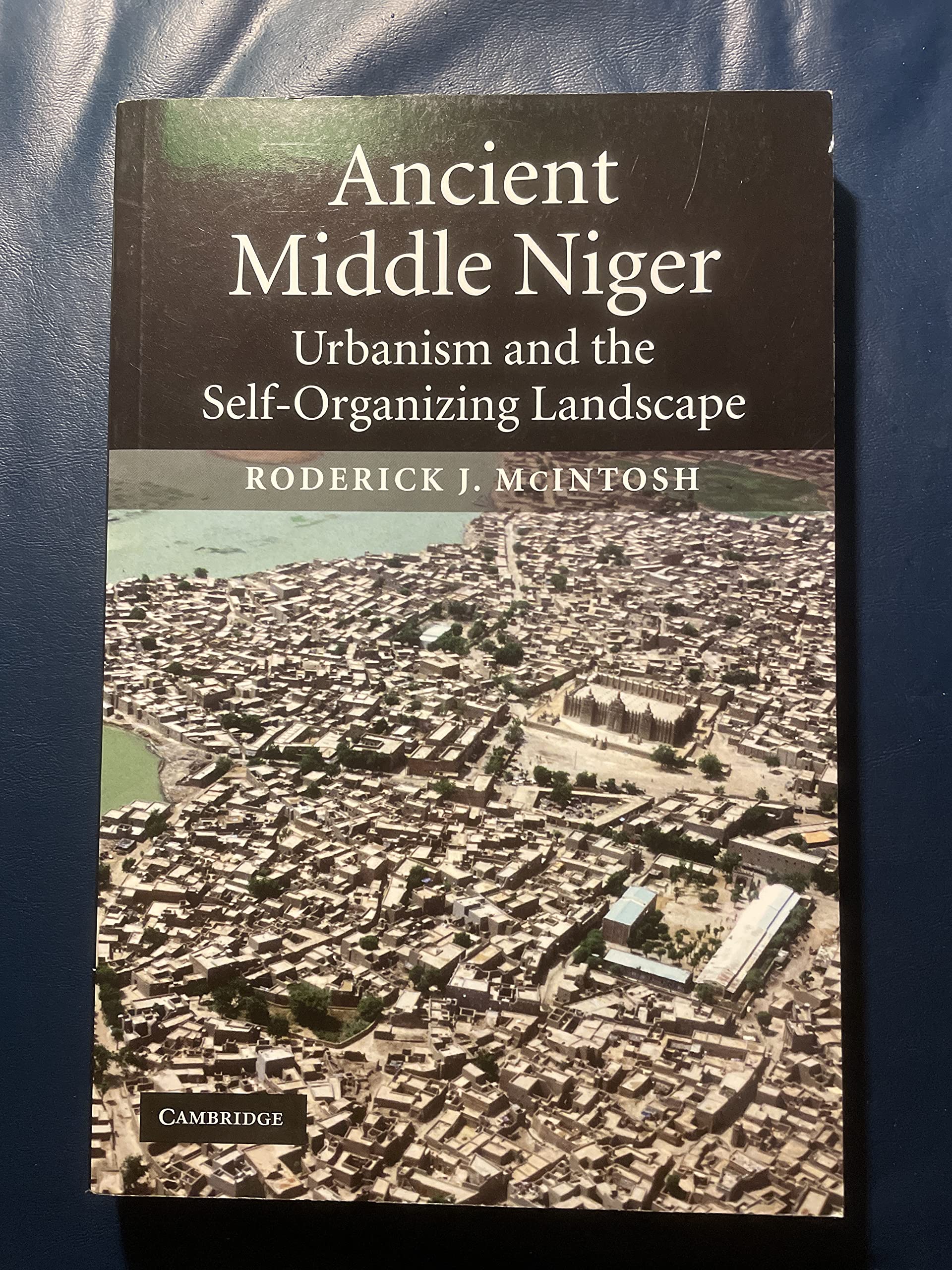 Ancient Middle Niger: Urbanism and the Self-organizing Landscape: 7 (Case Studies in Early Societies, Series Number 7)