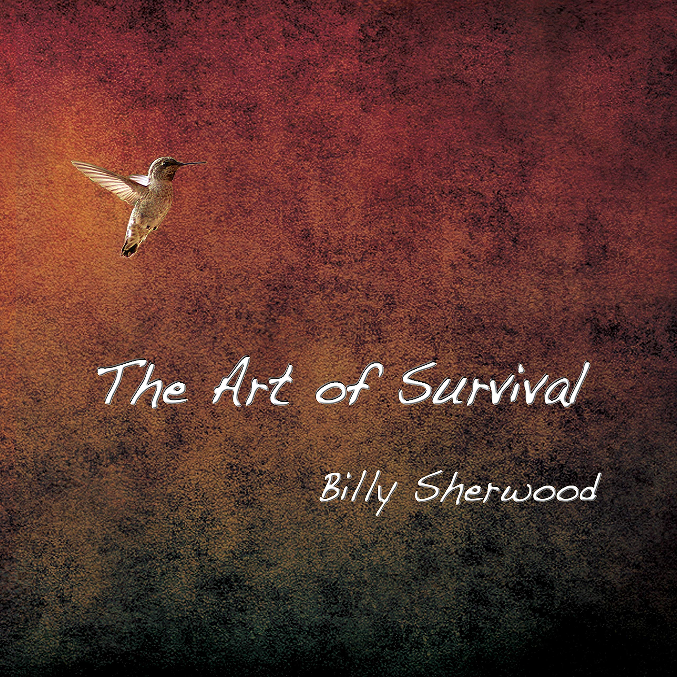 Vinyl Castle The Art Of Survival