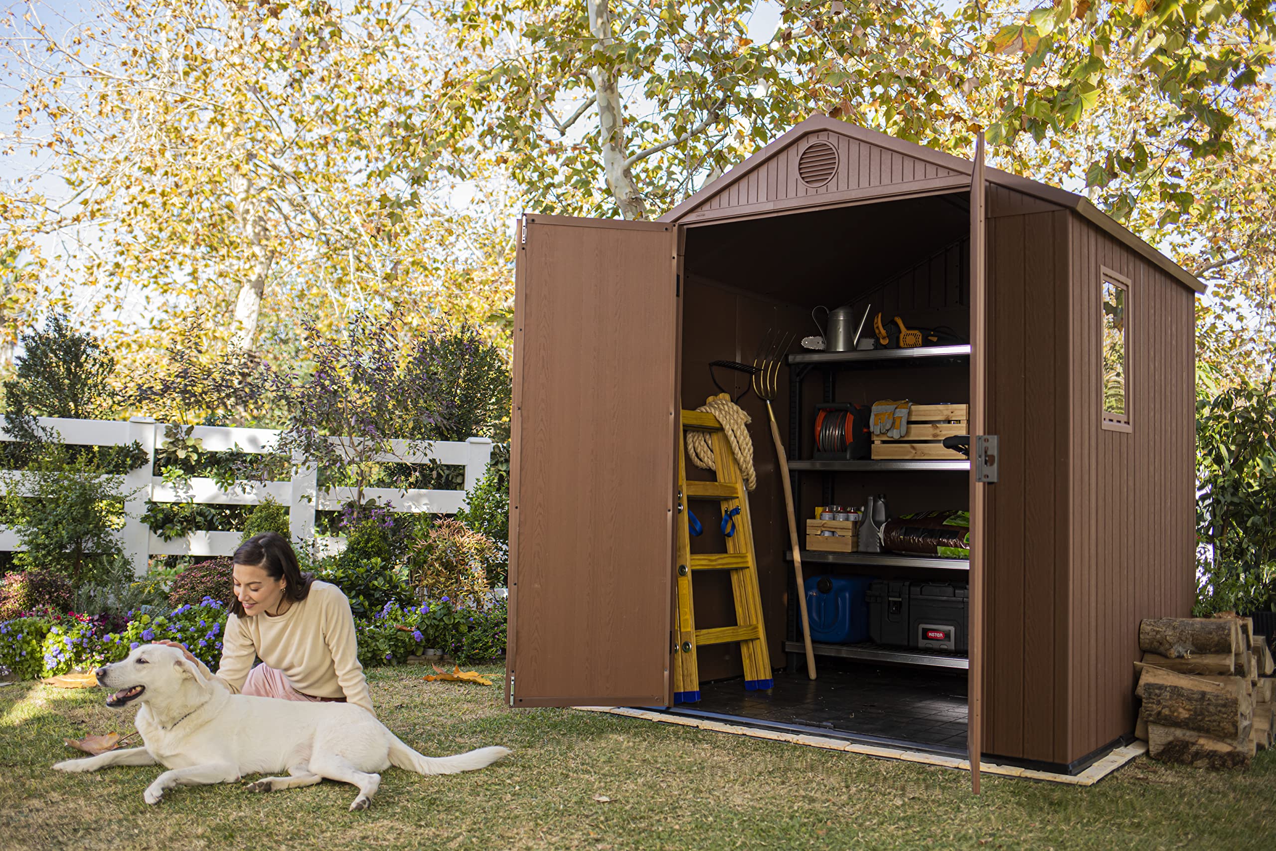 Amazon.co.jp: ケター ダーウィン 6×6 物置 屋外 収納庫 大型 190×183 