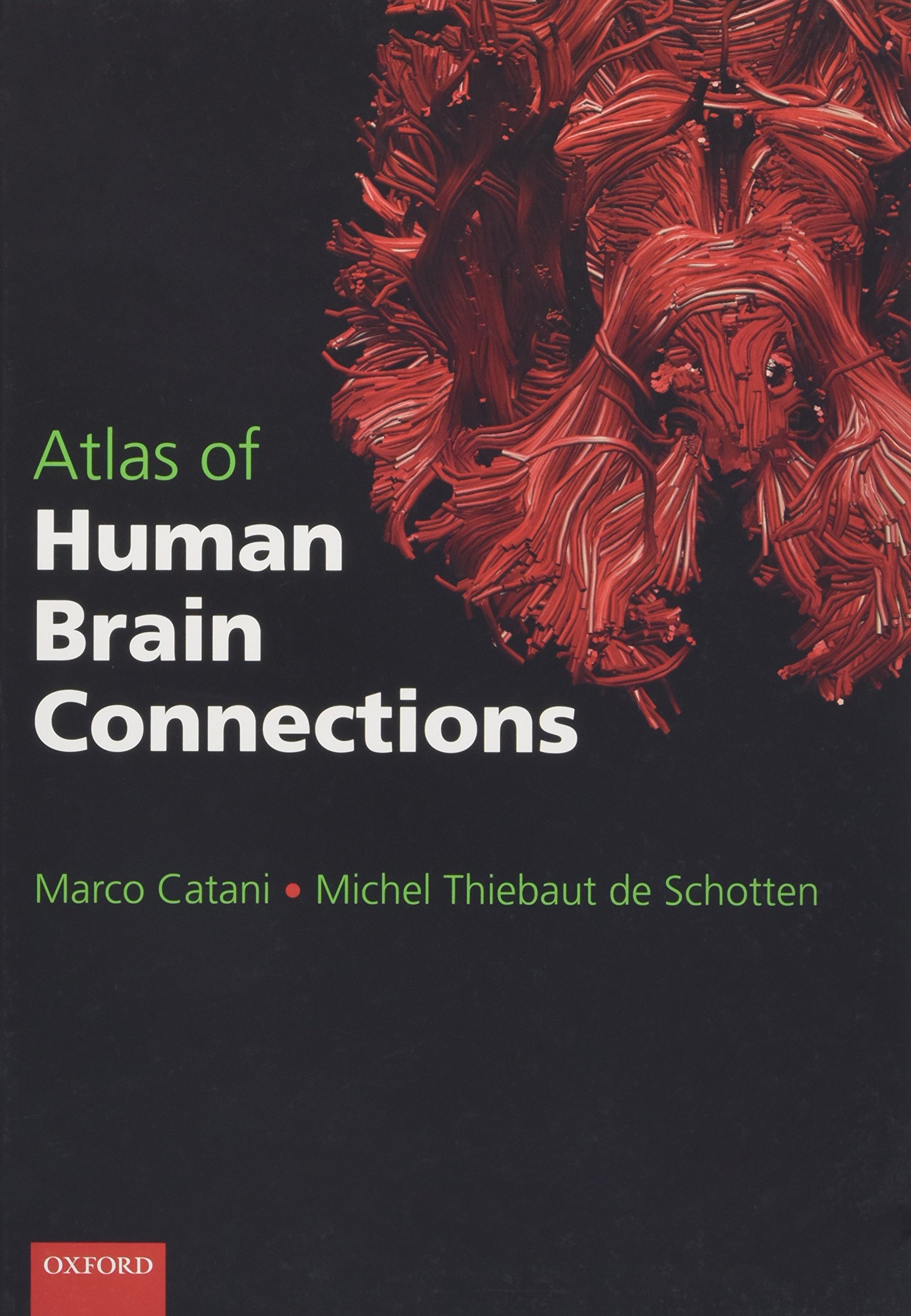 Amazon.com: Michel Thiebaut de Schotten: books, biography, latest