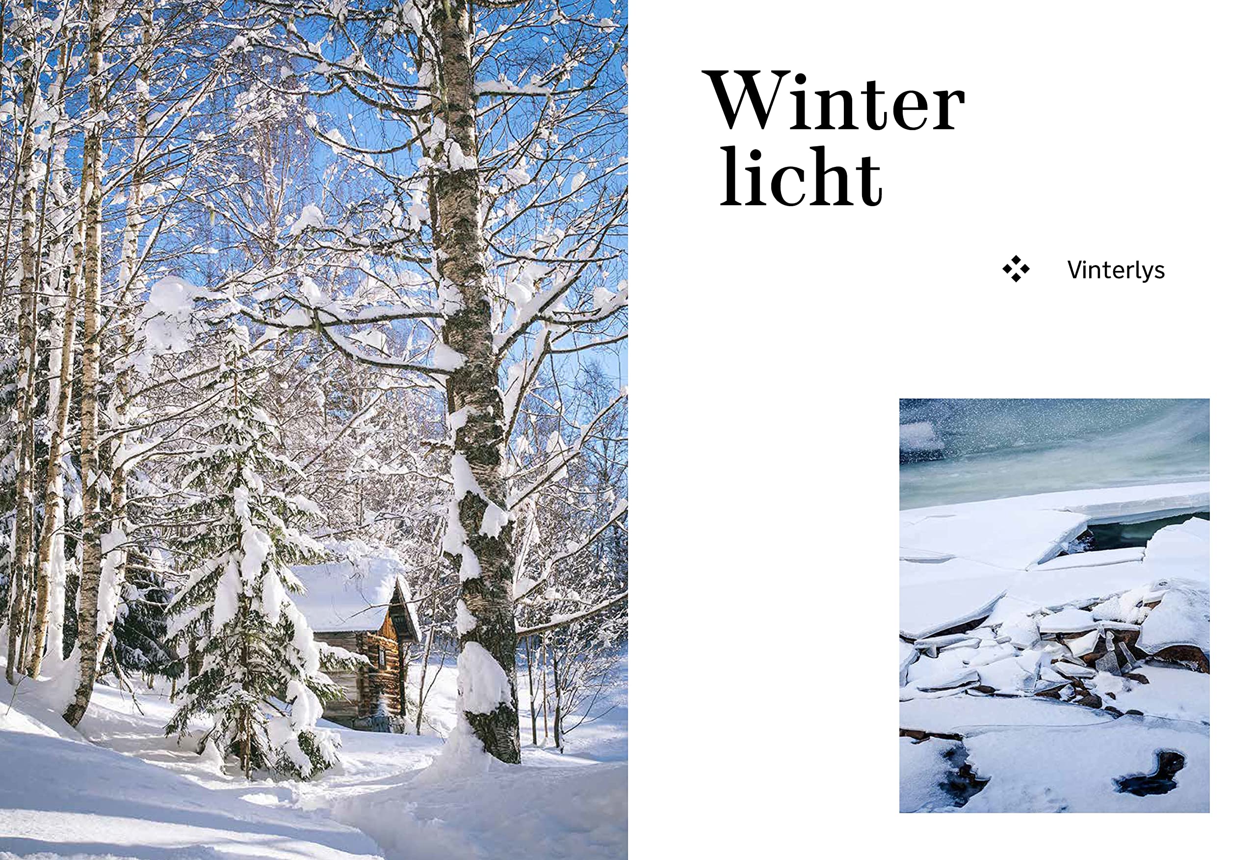Das Norwegen-Backbuch: Backen im Einklang mit den Jahreszeiten - 90 süße und herzhafte Rezepte von North Wild Kitchen - Deutscher Kochbuchpreis Silber und GAD-Award Silber 2023