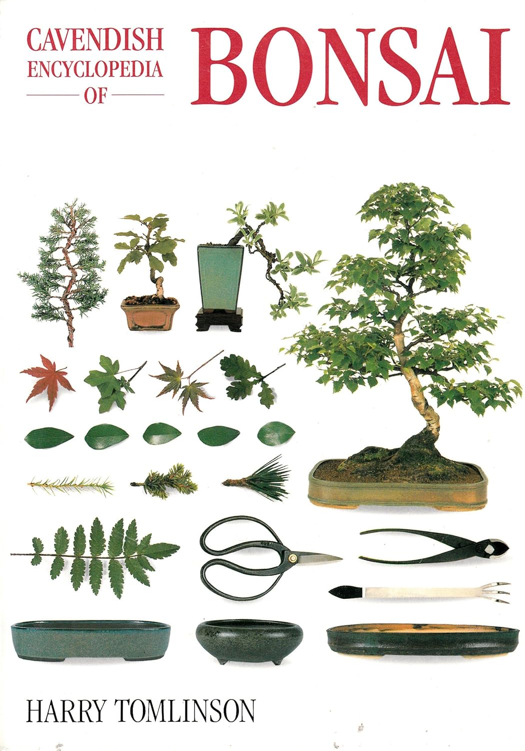 Amazon.in Buy The Cavendish Encyclopedia of Bonsai Book Online at Low