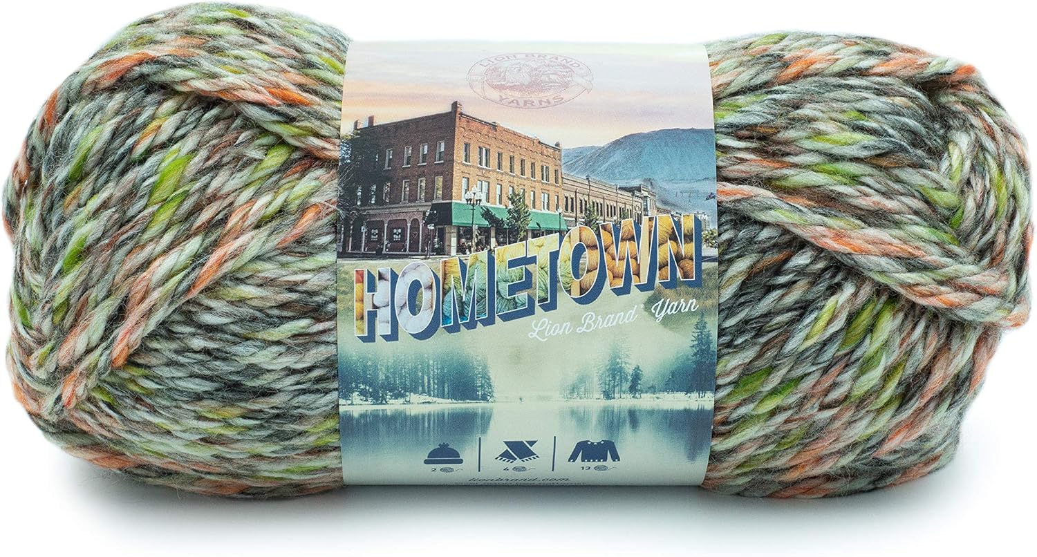 Lion Brand Yarn Hometown Yarn, Durham Woods (1 skein)