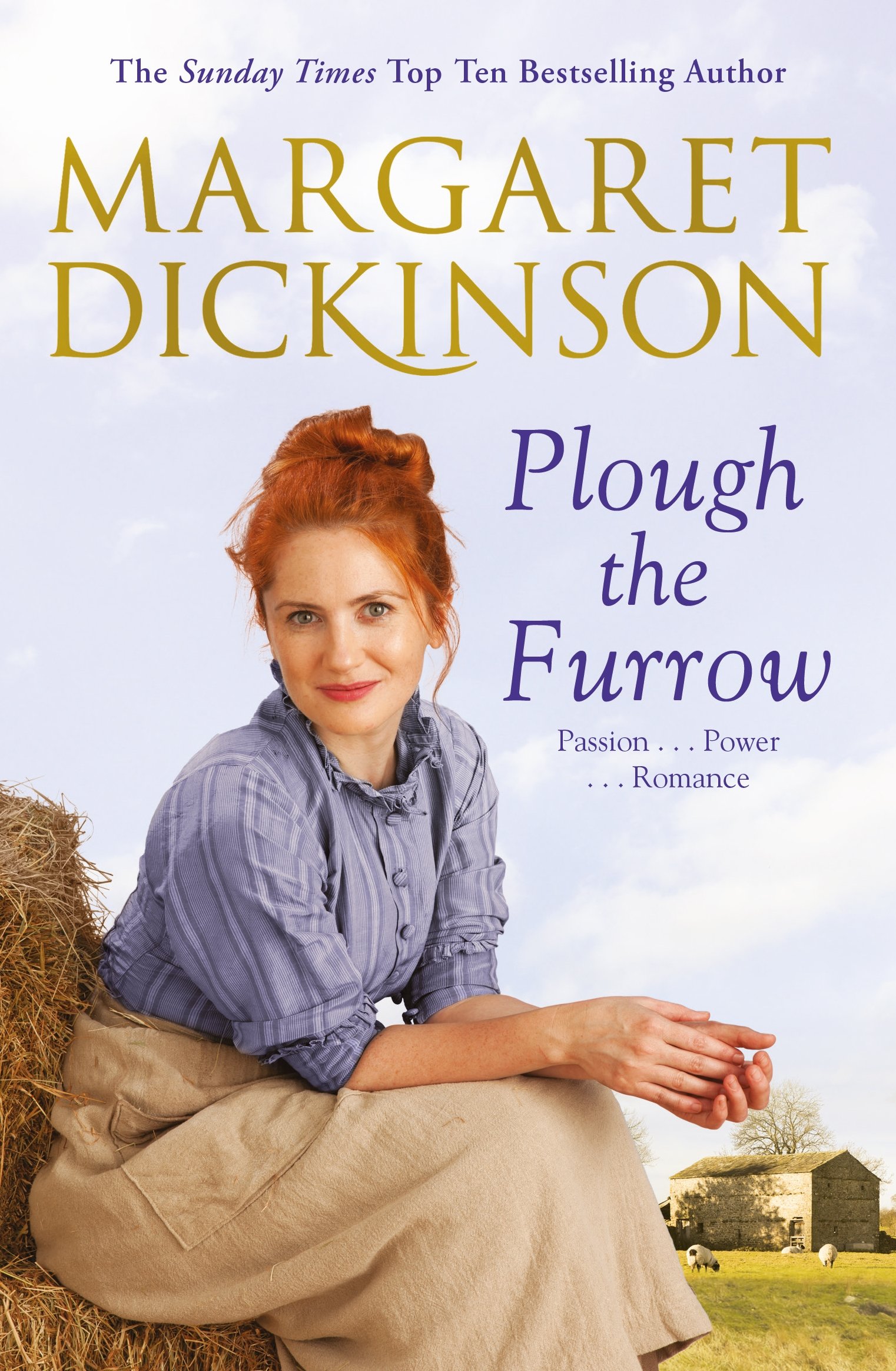 Plough the Furrow by Margaret Dickinson PAPERBACK 9781447285885