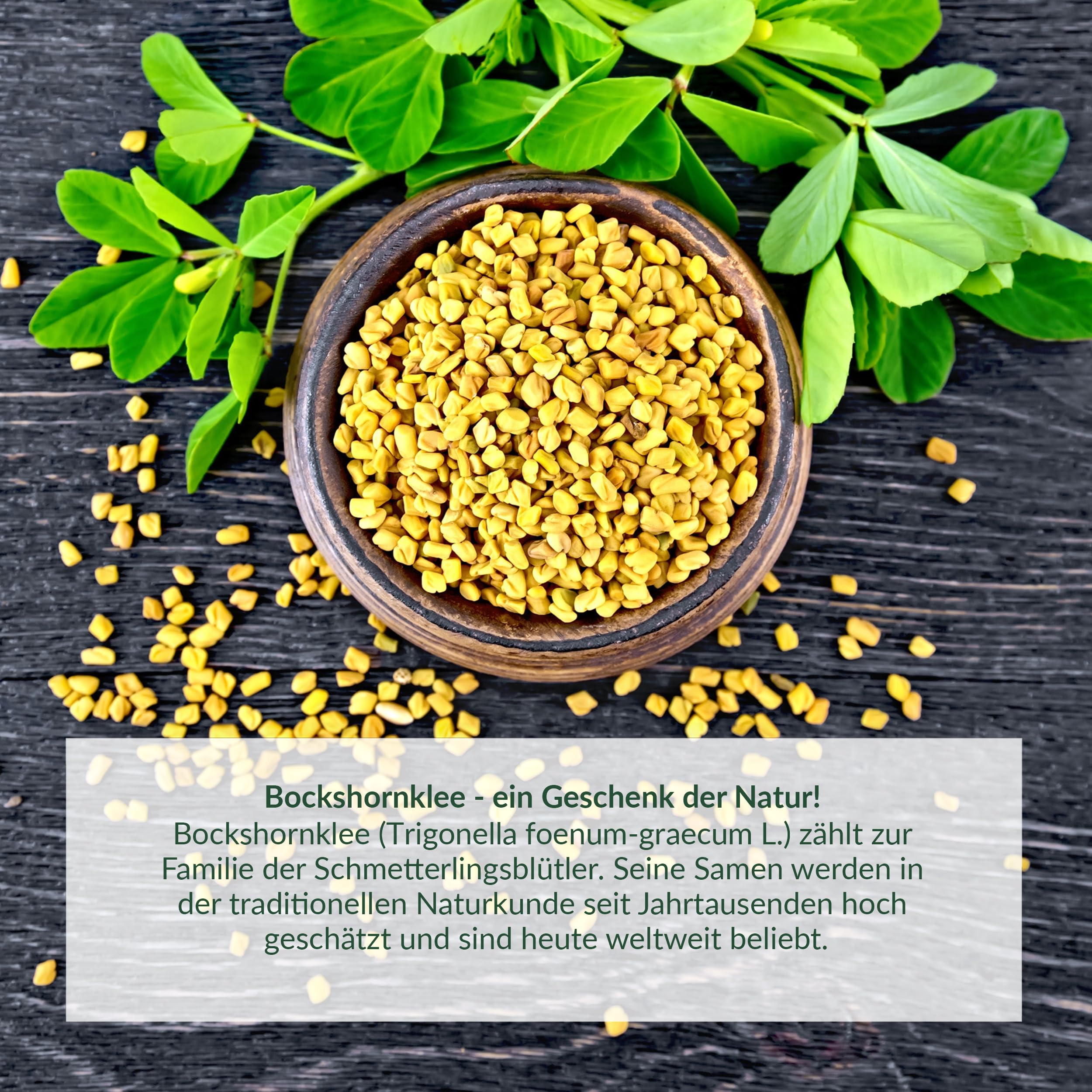 260 BIO Bockshornklee Kapseln, aktiviert, hochdosiert, in Deutschland hergestellt, zertifizierte Bio-Qualität, 100% natürlich, 2600 mg pro Tagesdosierung, vegan (260 Tabletten)