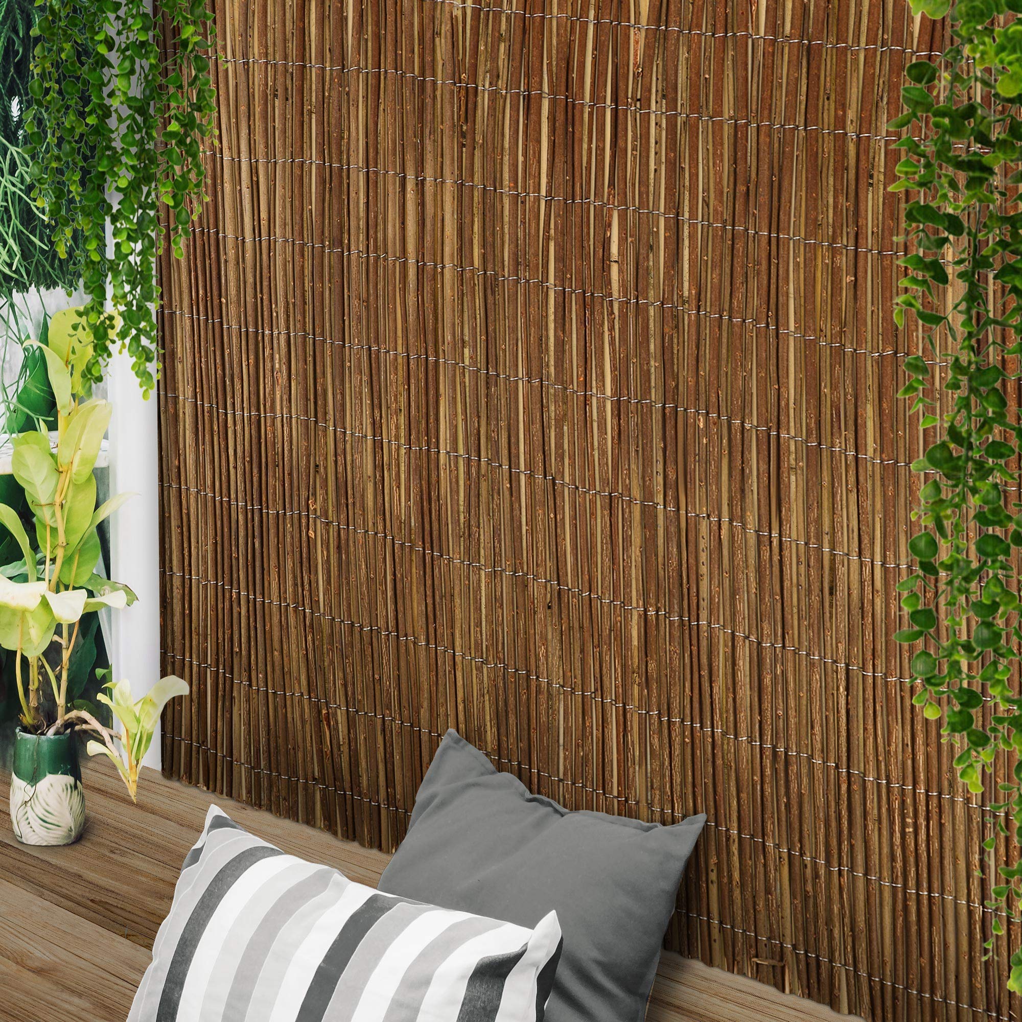 Sol Royal Parawan ogrodowy SolVision W79 500x100 cm Mata ogrodowa z wierzby Ochrona przed wiatrem/słońcem na balkon i taras