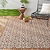 Nicole Miller New York Patio Country Danica Transitional Geometric Indoor/Outdoor Area Rug, Terracotta/Ivory , 6'6"x9'2"