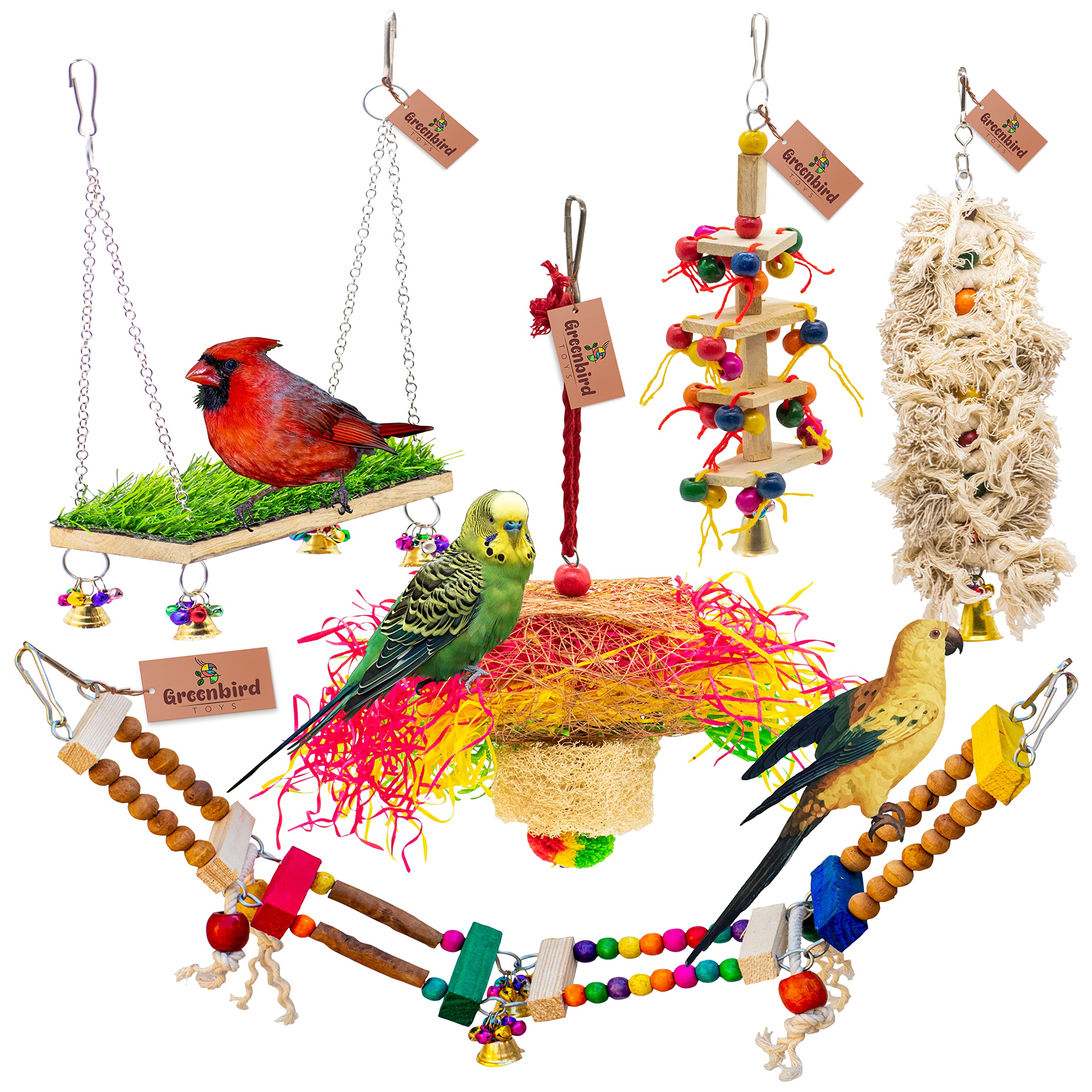 GREENBIRDS Pack of 5 Pcs Bird Colorful Chewing Foraging Shredder Toys, Grass Swings, Ring Perch, Parrot for Bird & Parrot Parakeets, Conures, Cockatiel, Lovebird (B0BGHGN12N) Amazon Price History, Amazon Price Tracker